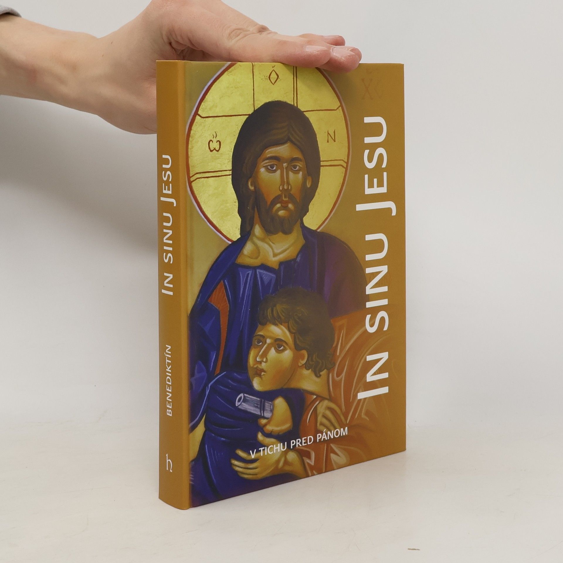 Kolektív autorov In sinu Jesu