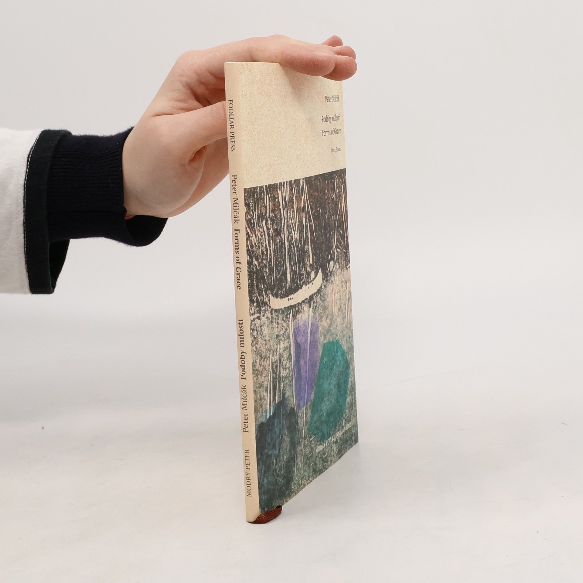 Peter Milčák Podoby milosti / Forms of Grace