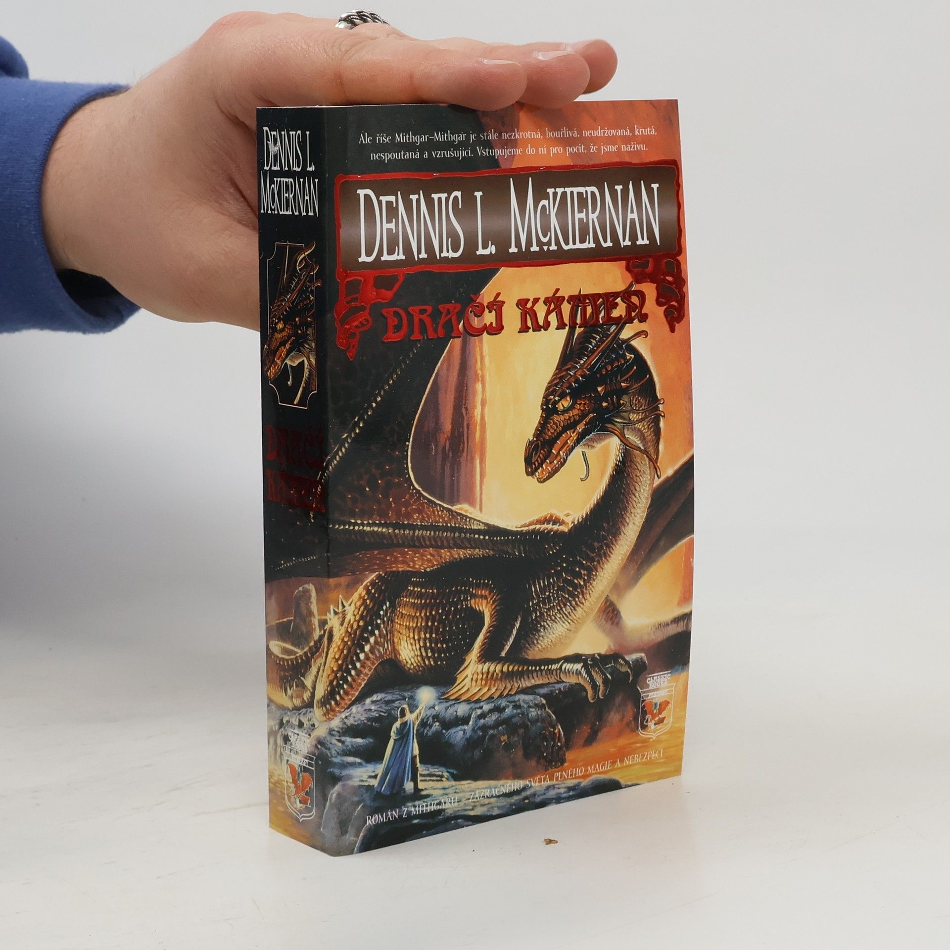 Dennis L. McKiernan Dračí kámen