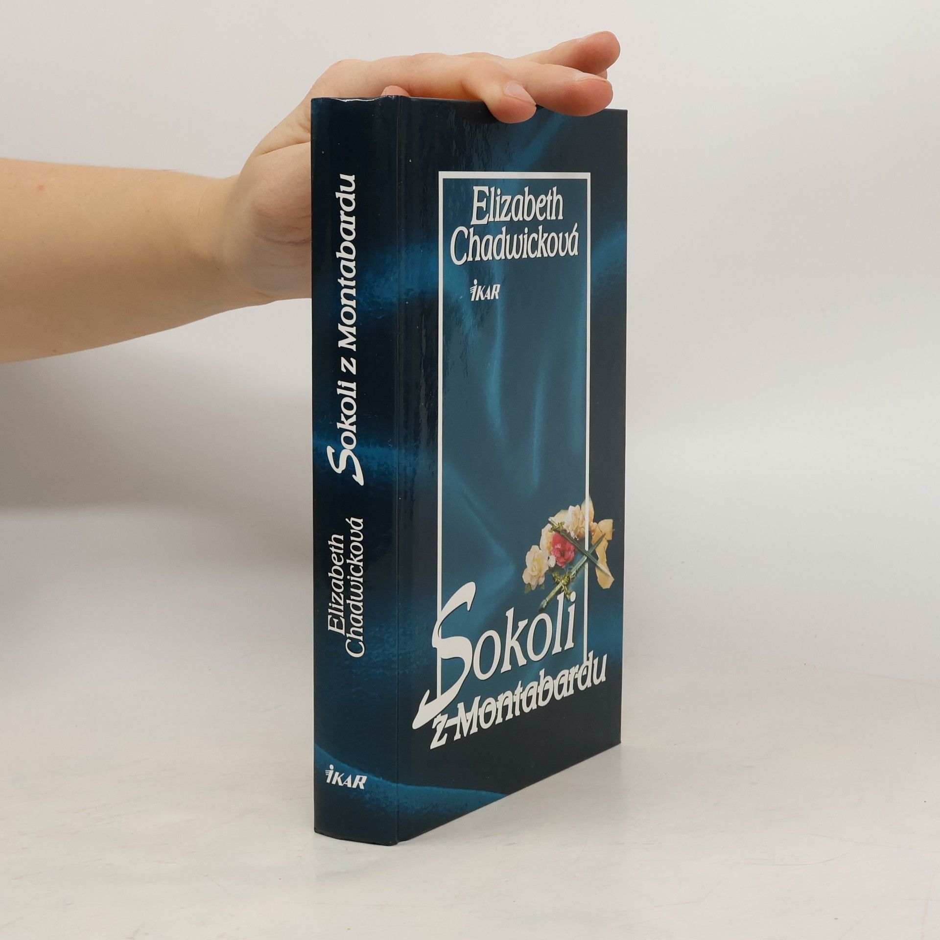 Elizabeth Chadwick Sokoli z Montabardu