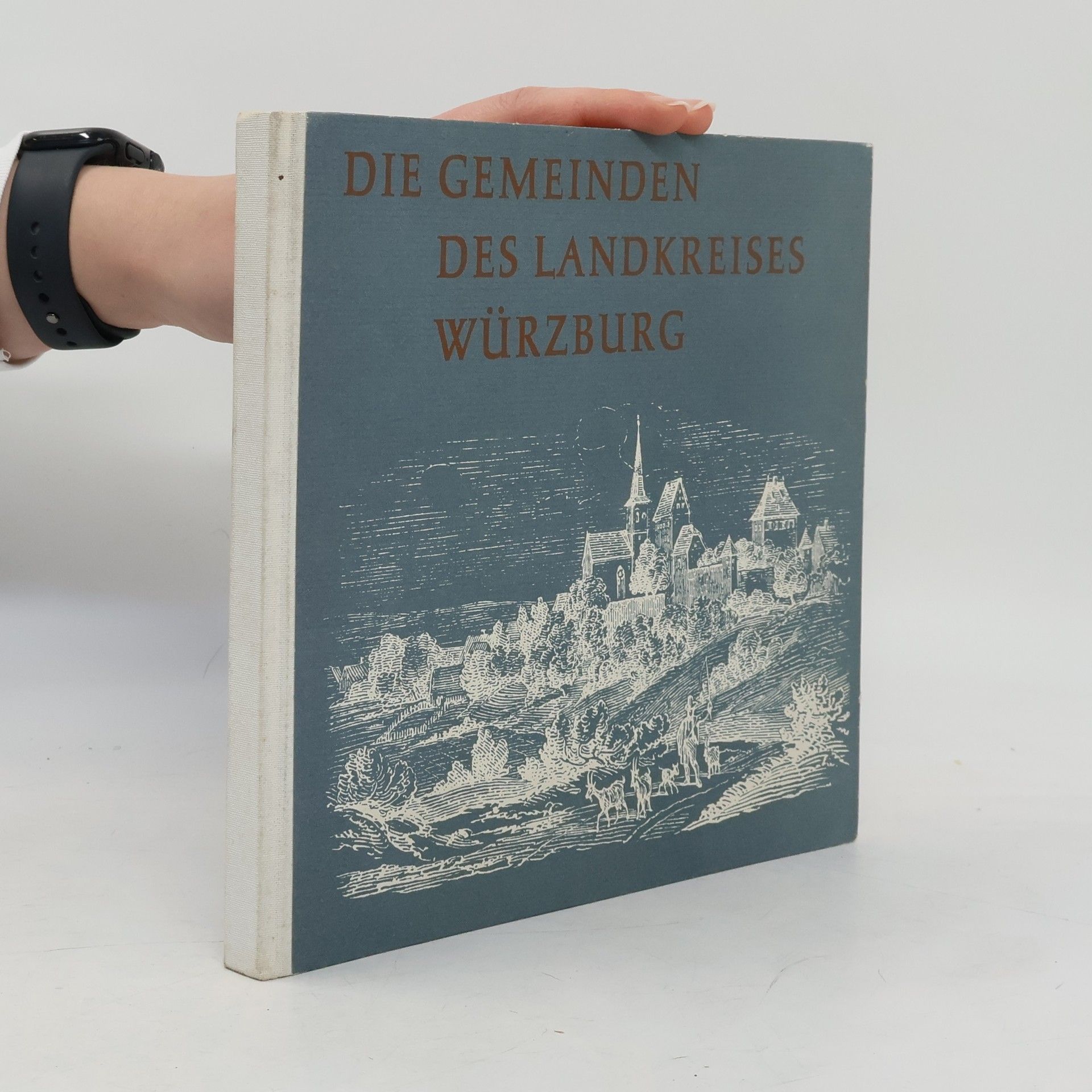 Kolektív autorov Die Gemeinden Des Landkreises Würzburg