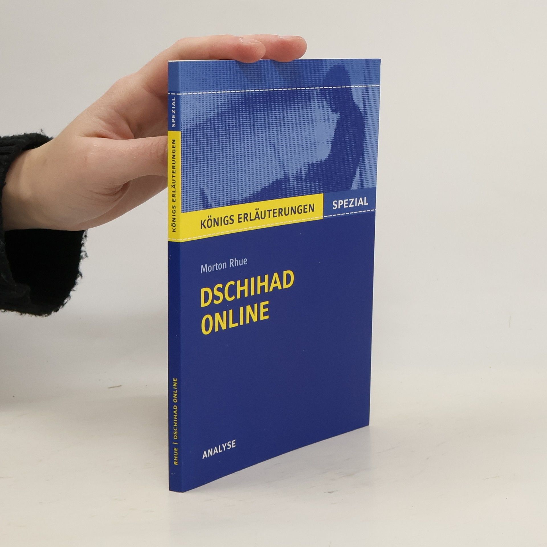 Textanalyse und Interpretation zu Morton Rhue, Dschihad online