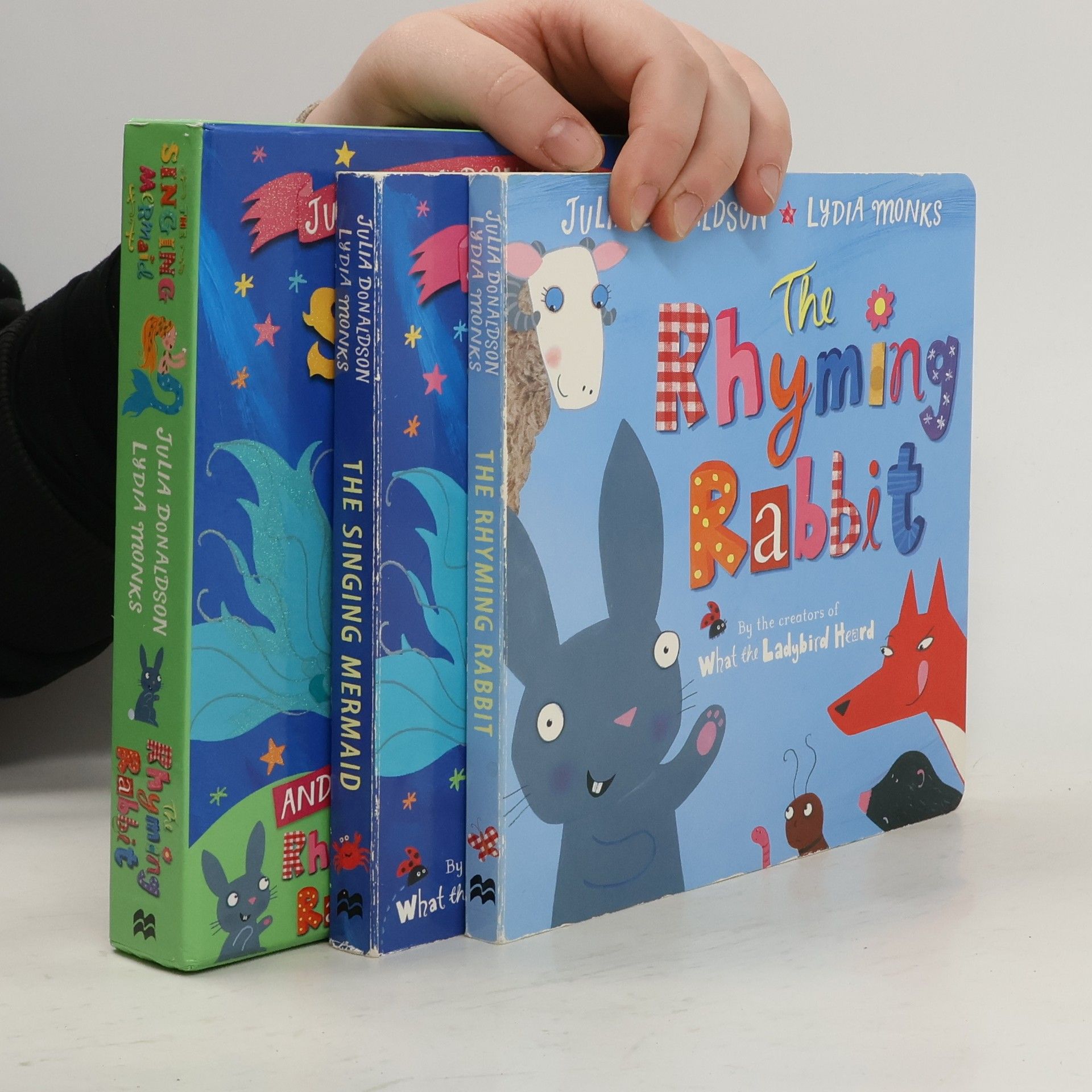 Julia Donaldson The Singing Mermaid and The Rhyming Rabbit board book gift slipcase