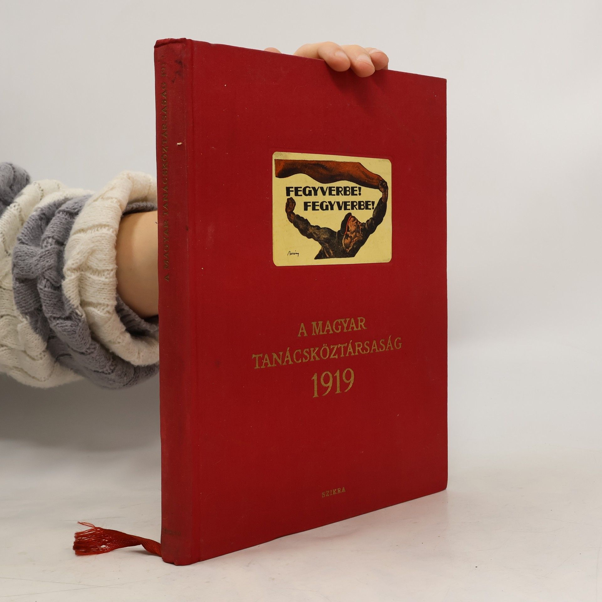 AA.VV. A Magyar tanácsköztársaság 1919