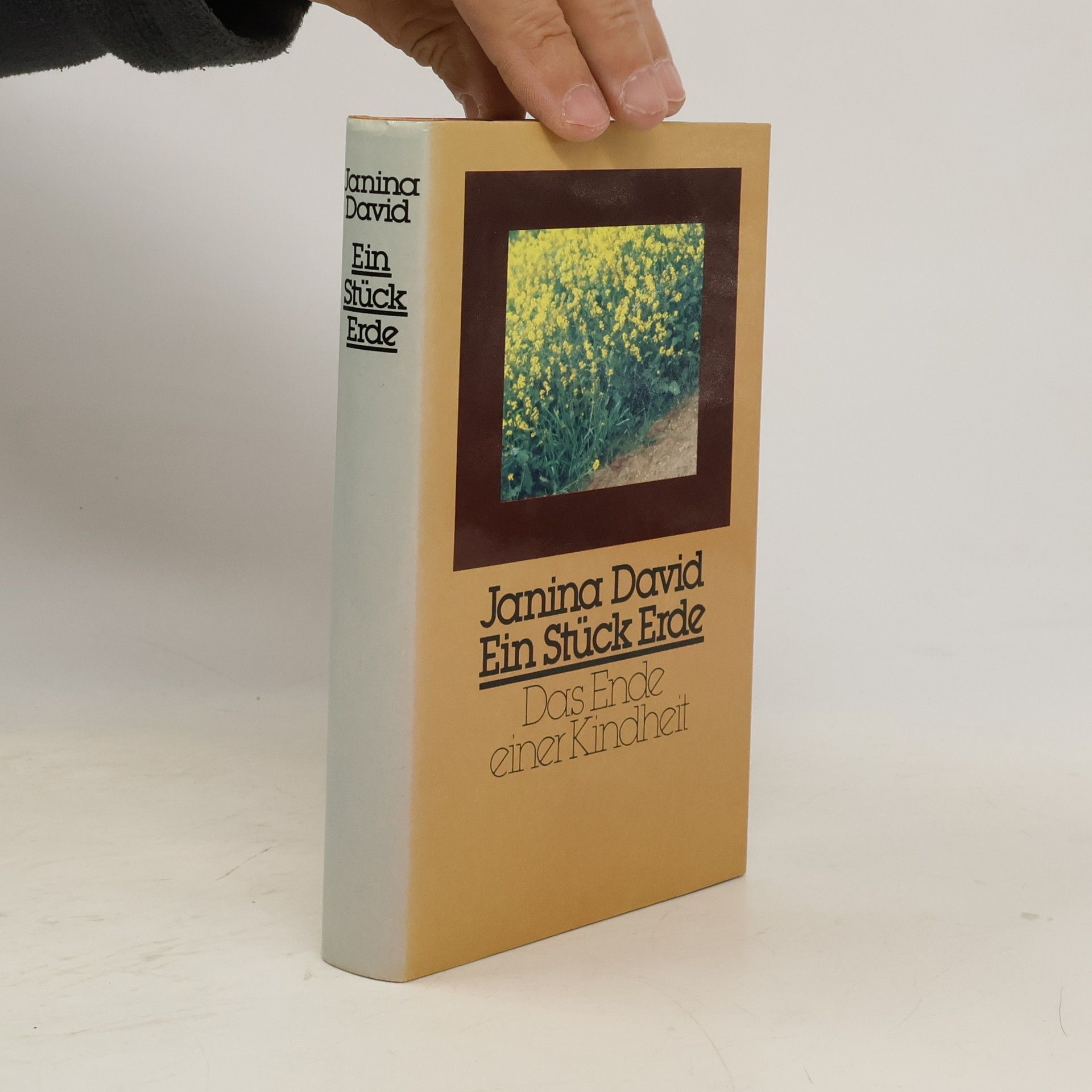Janina David Ein Stück Erde