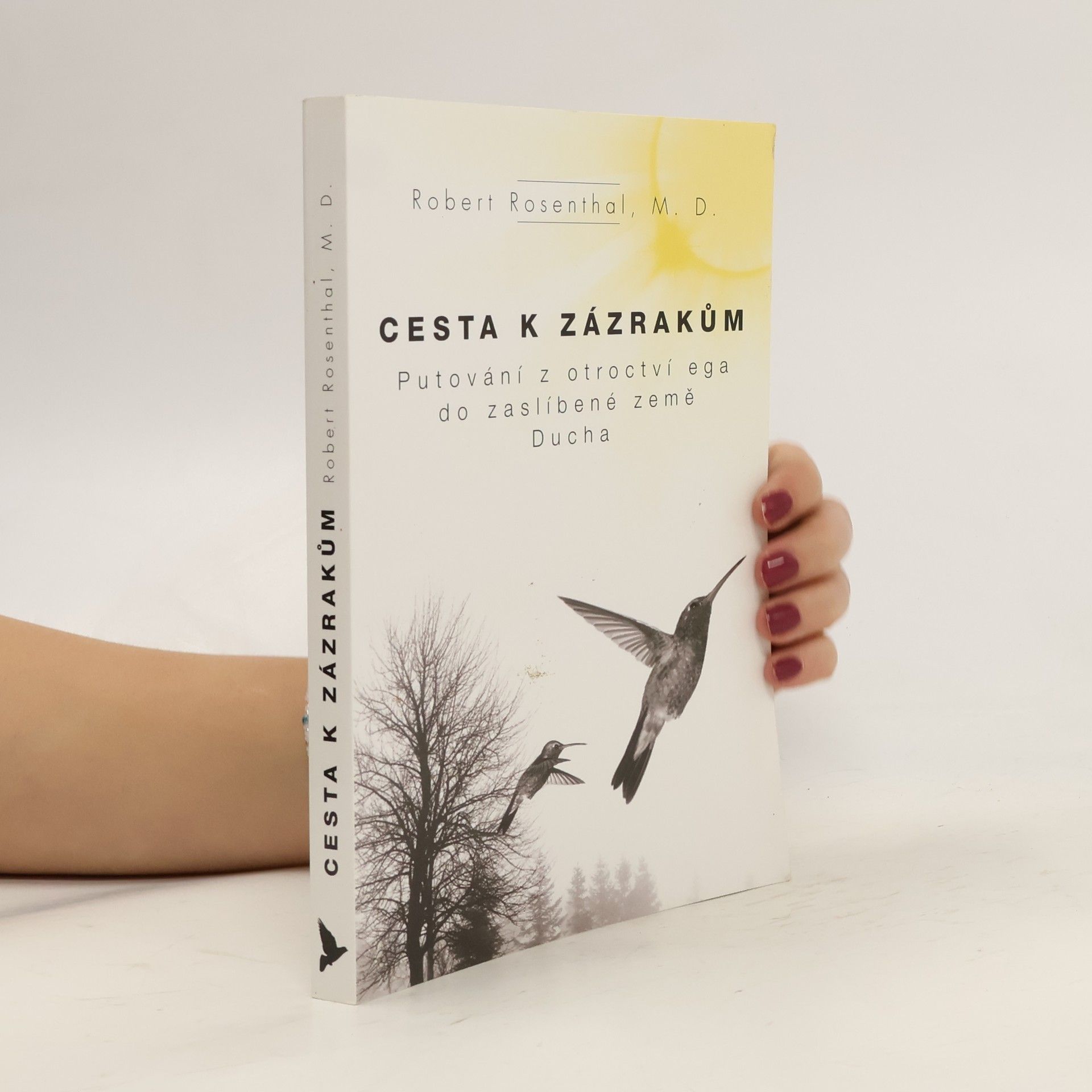 Robert Rosenthal Cesta k zázrakům : putování z otroctví Ega do Zaslíbené země Ducha
