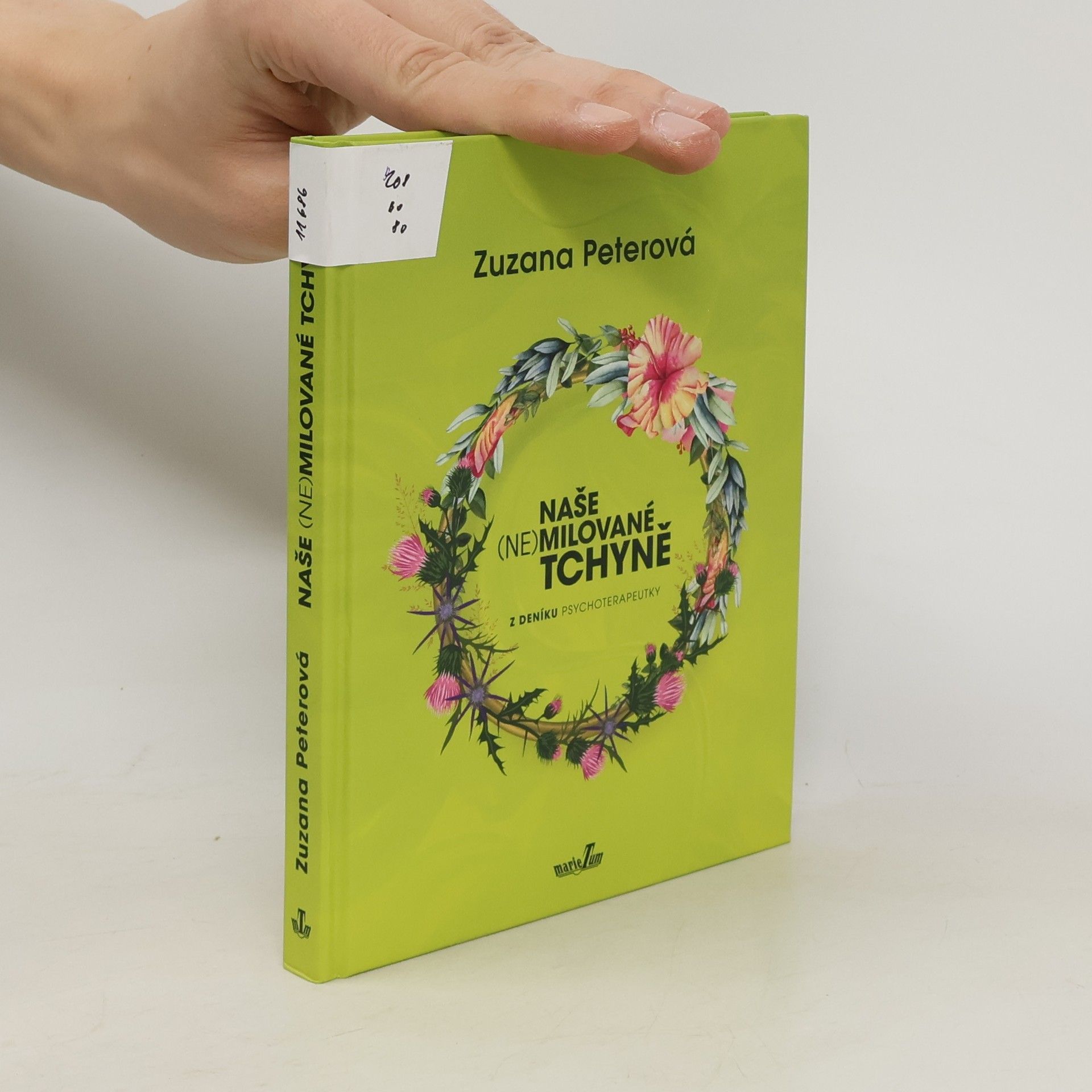 Naše nemilované tchyně. Z deníku psychoterapeutky