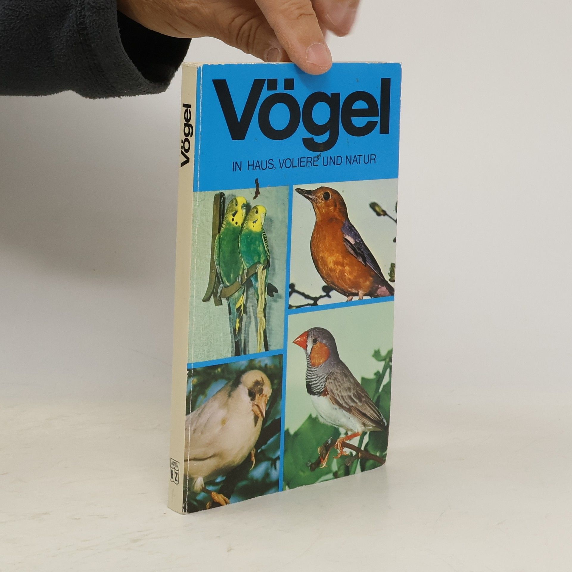 Autores varios Vögel