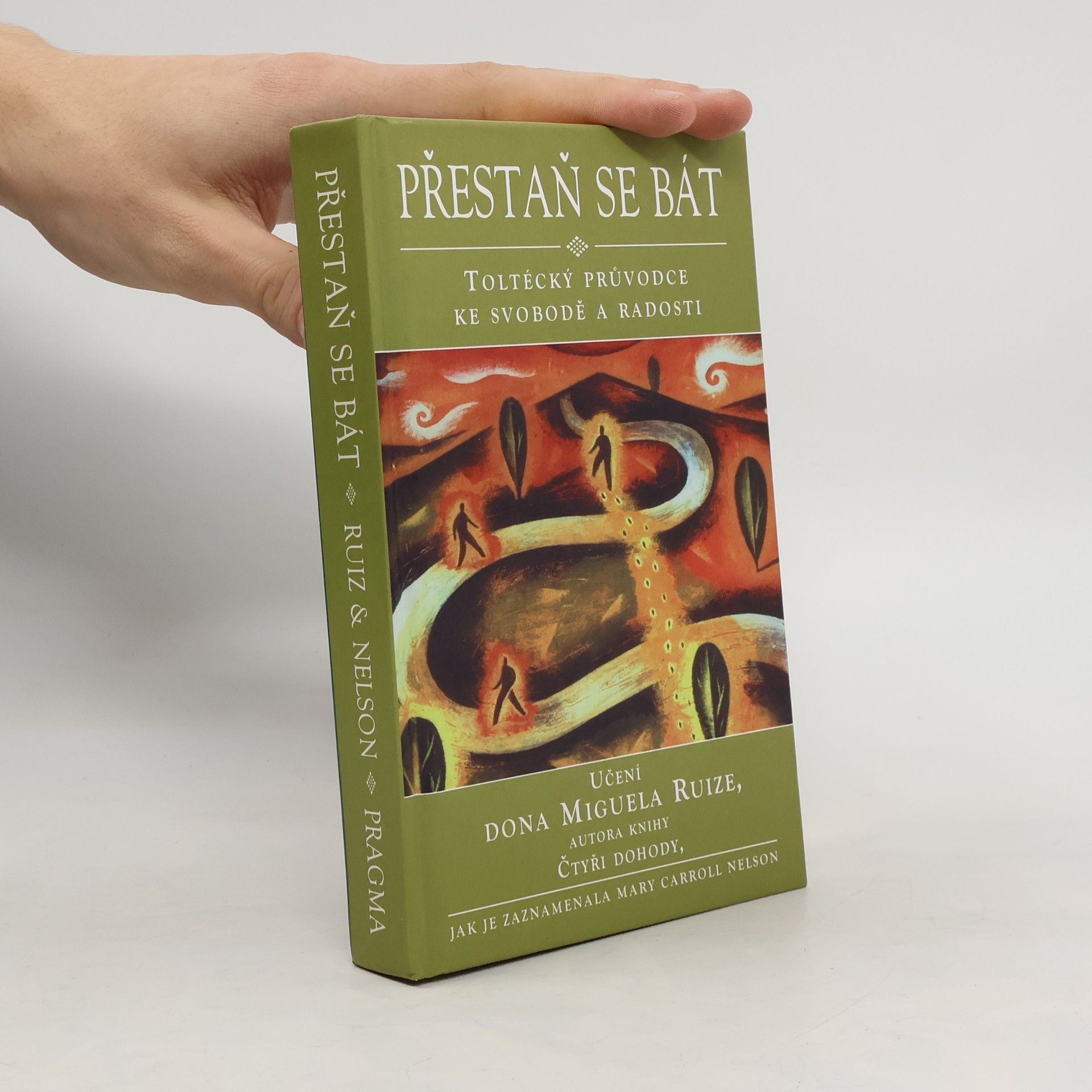 Mary Carroll Nelson Přestaň se bát