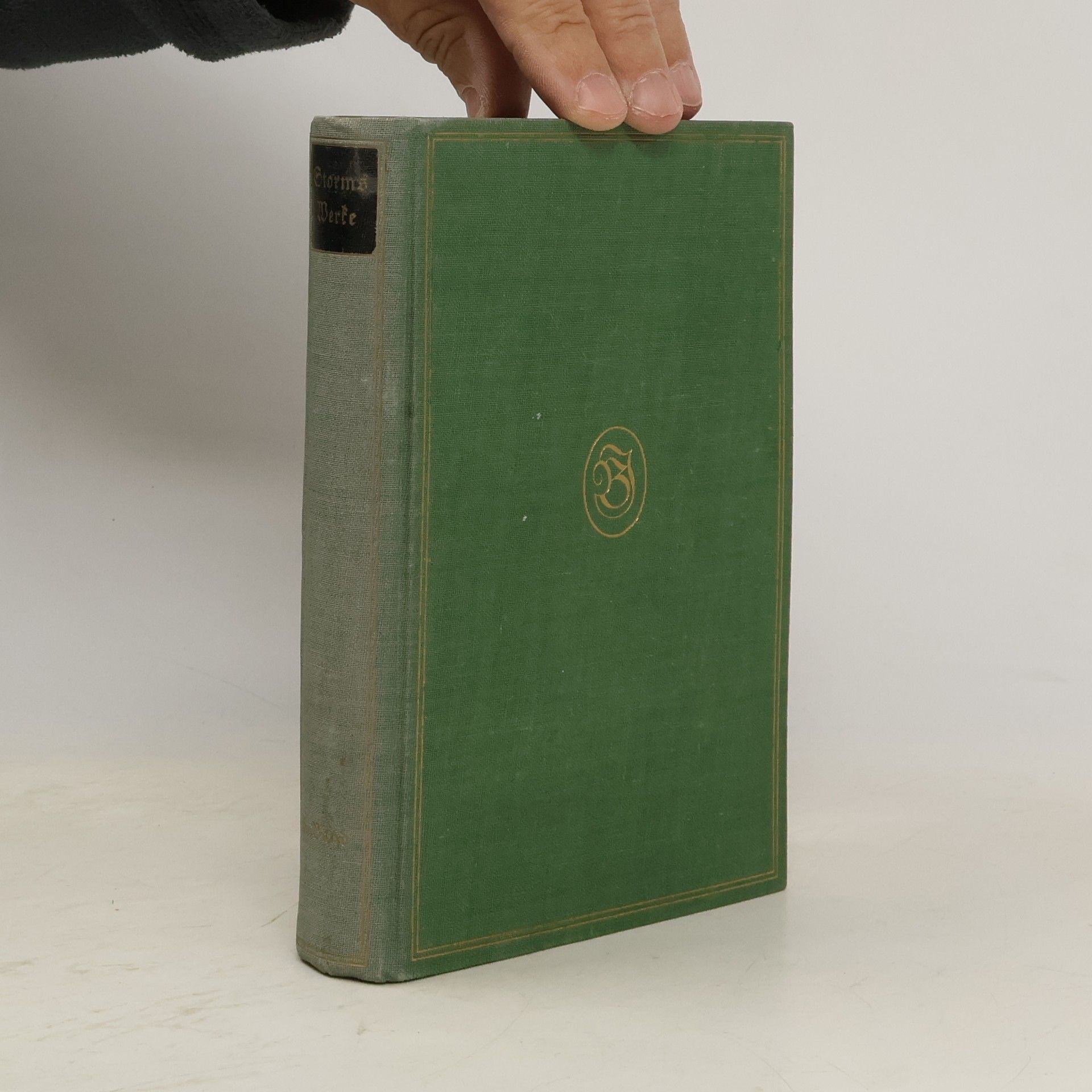 Theodor Storm Storms Werke 6