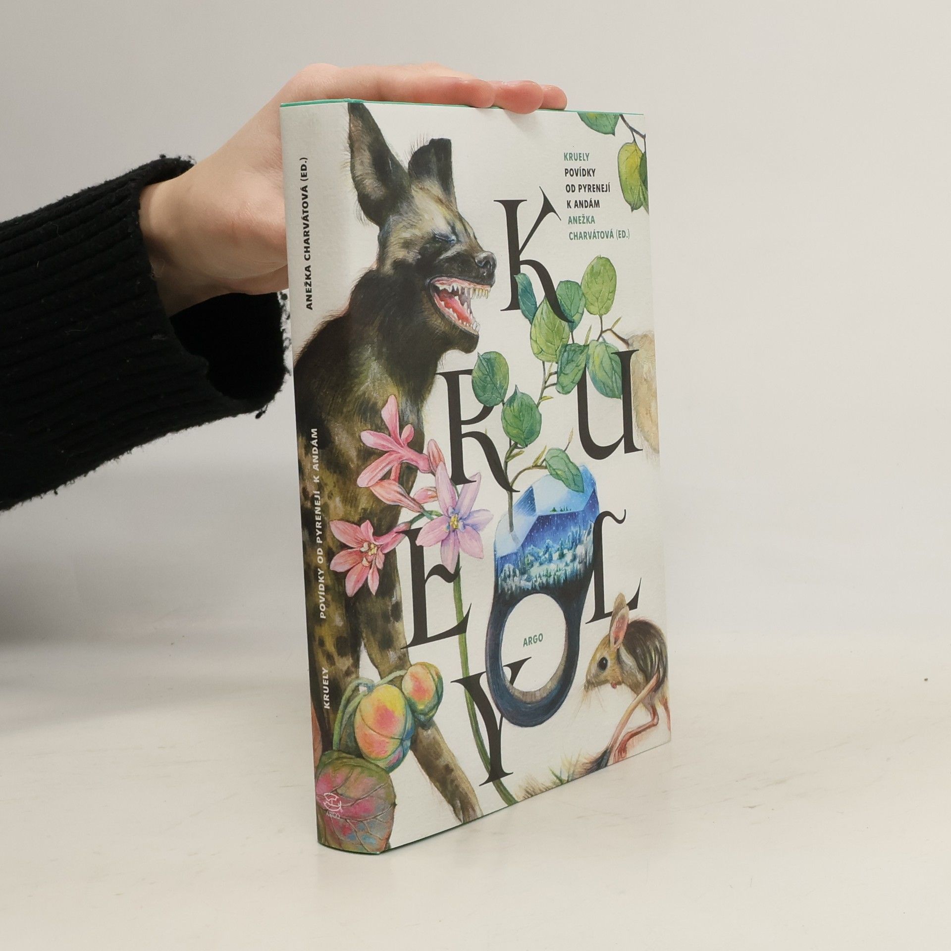 Anežka Charvátová Kruely : povídky od Pyrenejí k Andám