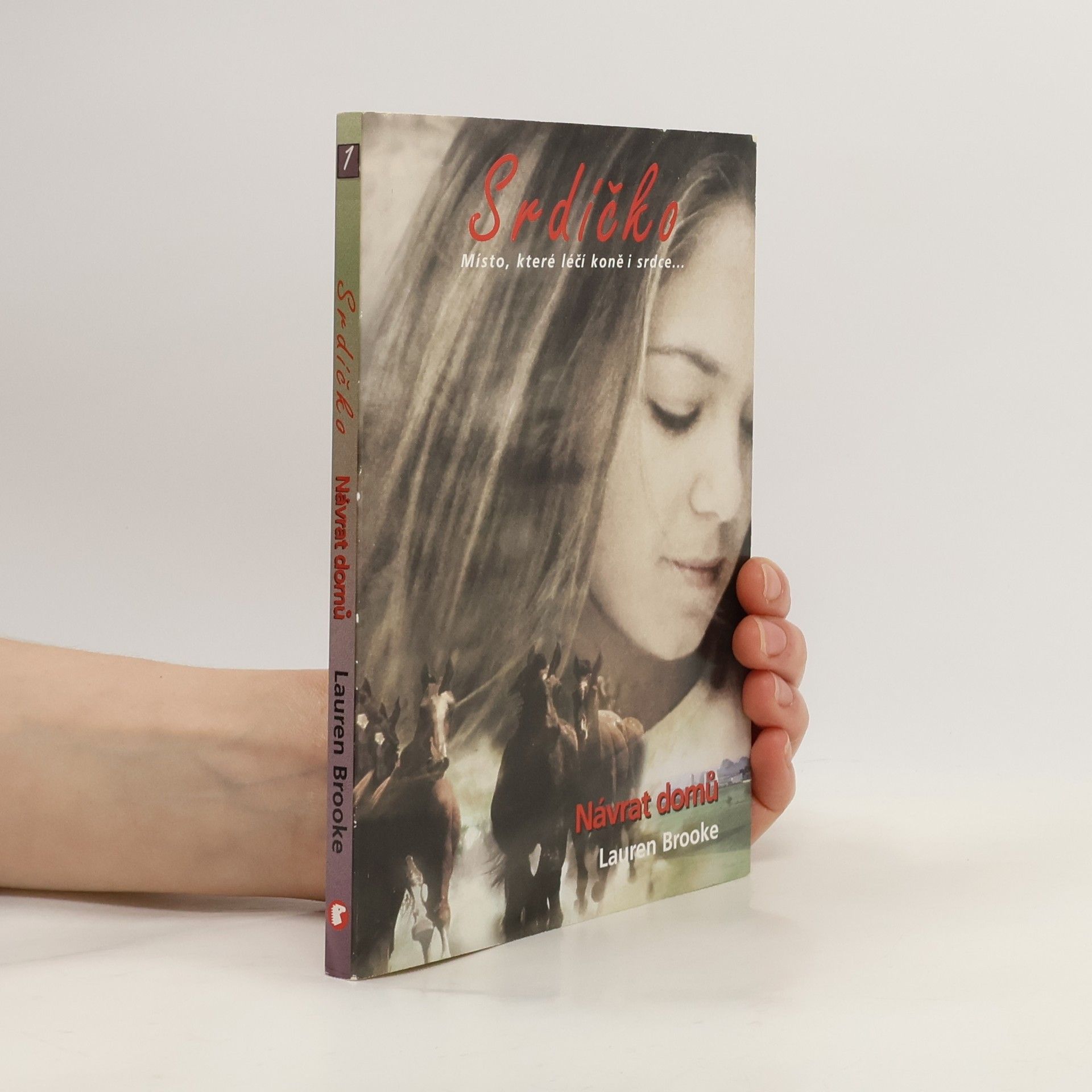 Lauren Brooke Srdíčko. Kniha první, Návrat domů