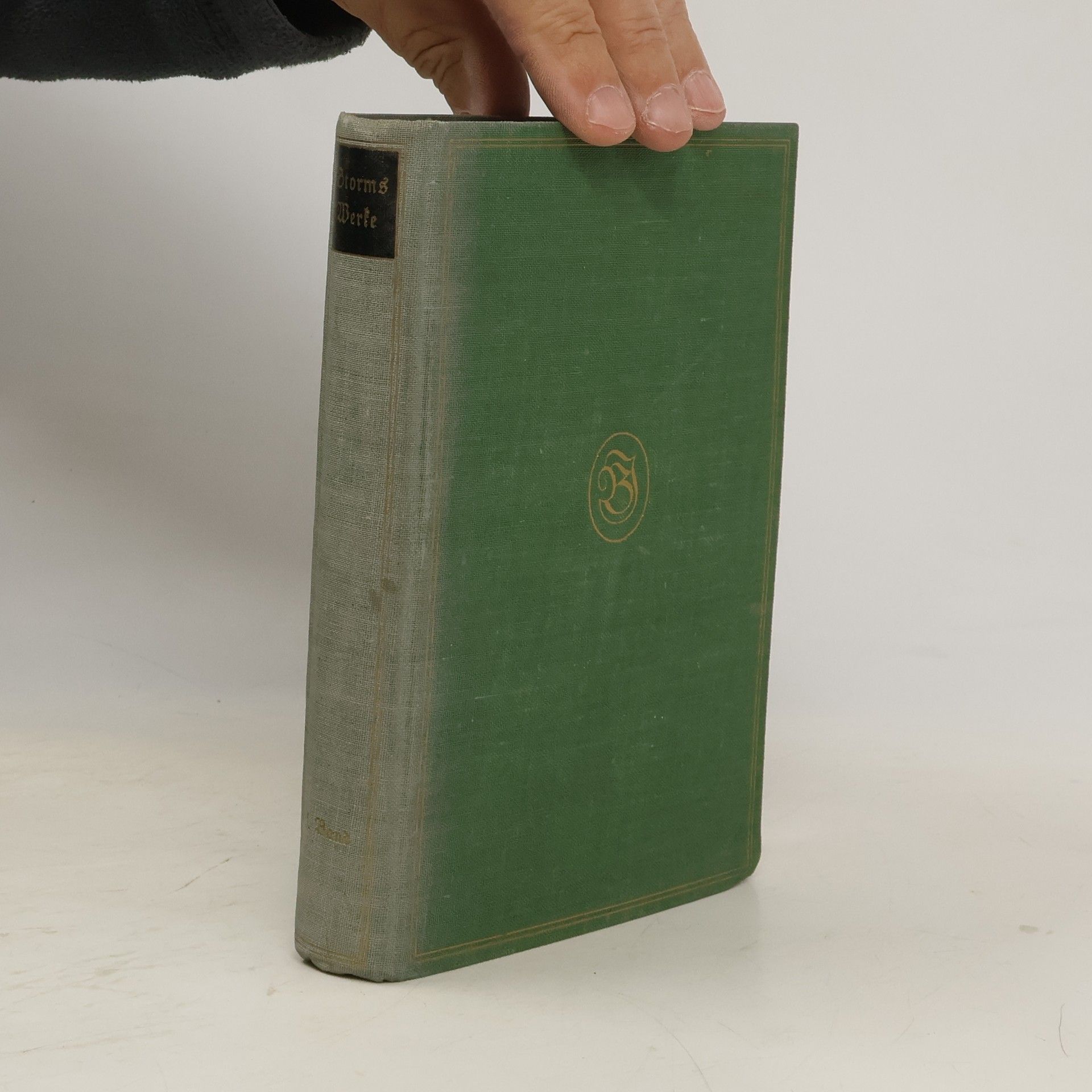 Theodor Hertel Storms Werke 5