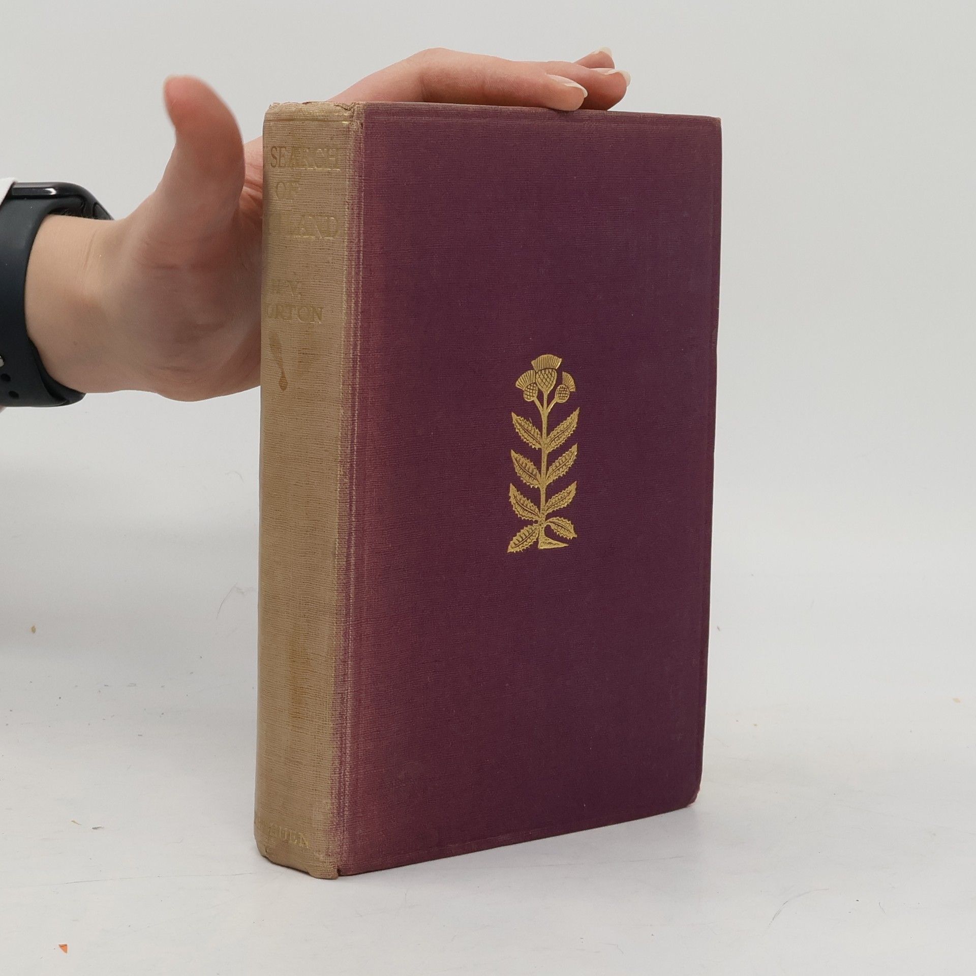 In Search of Scotland