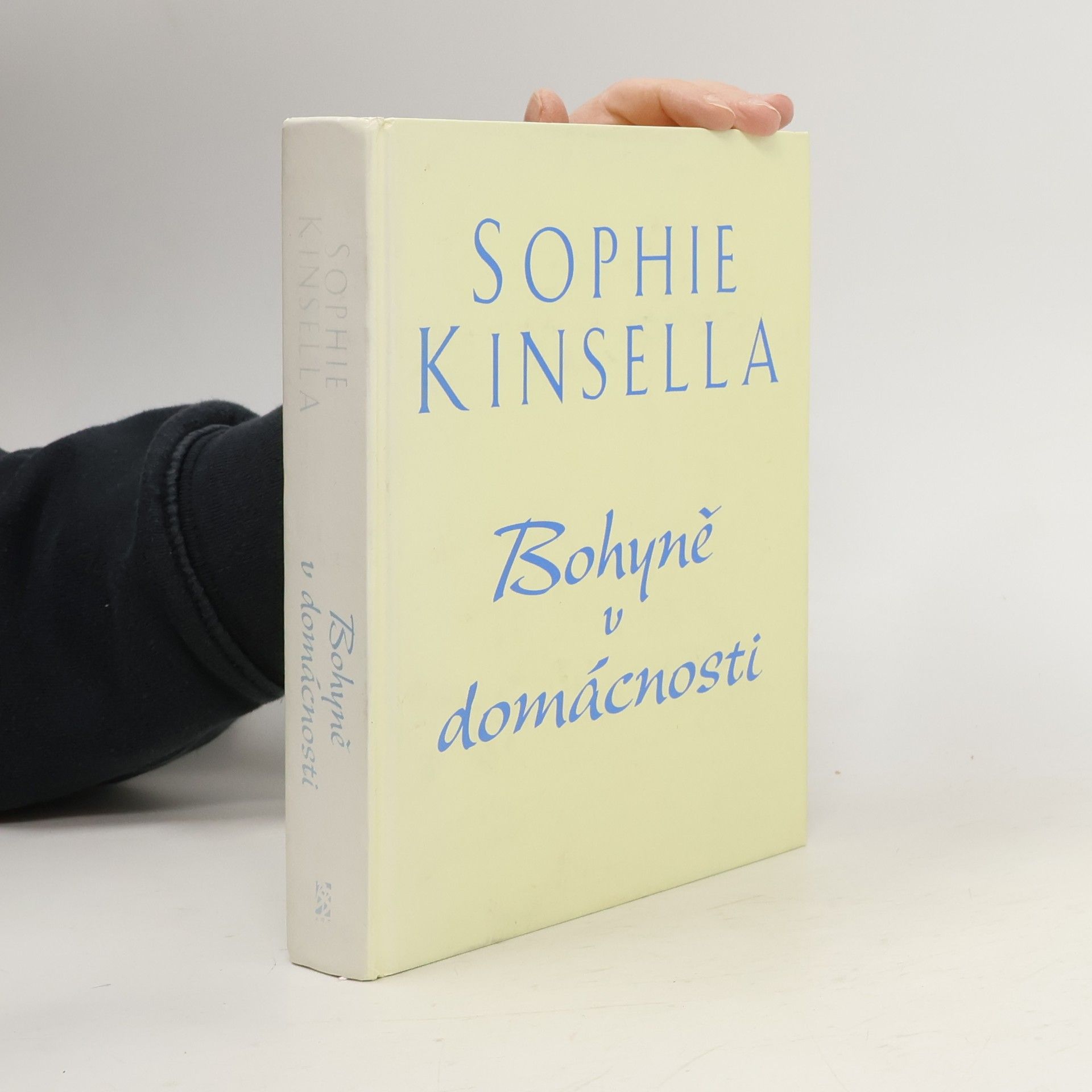 Sophie Kinsella Bohyně v domácnosti