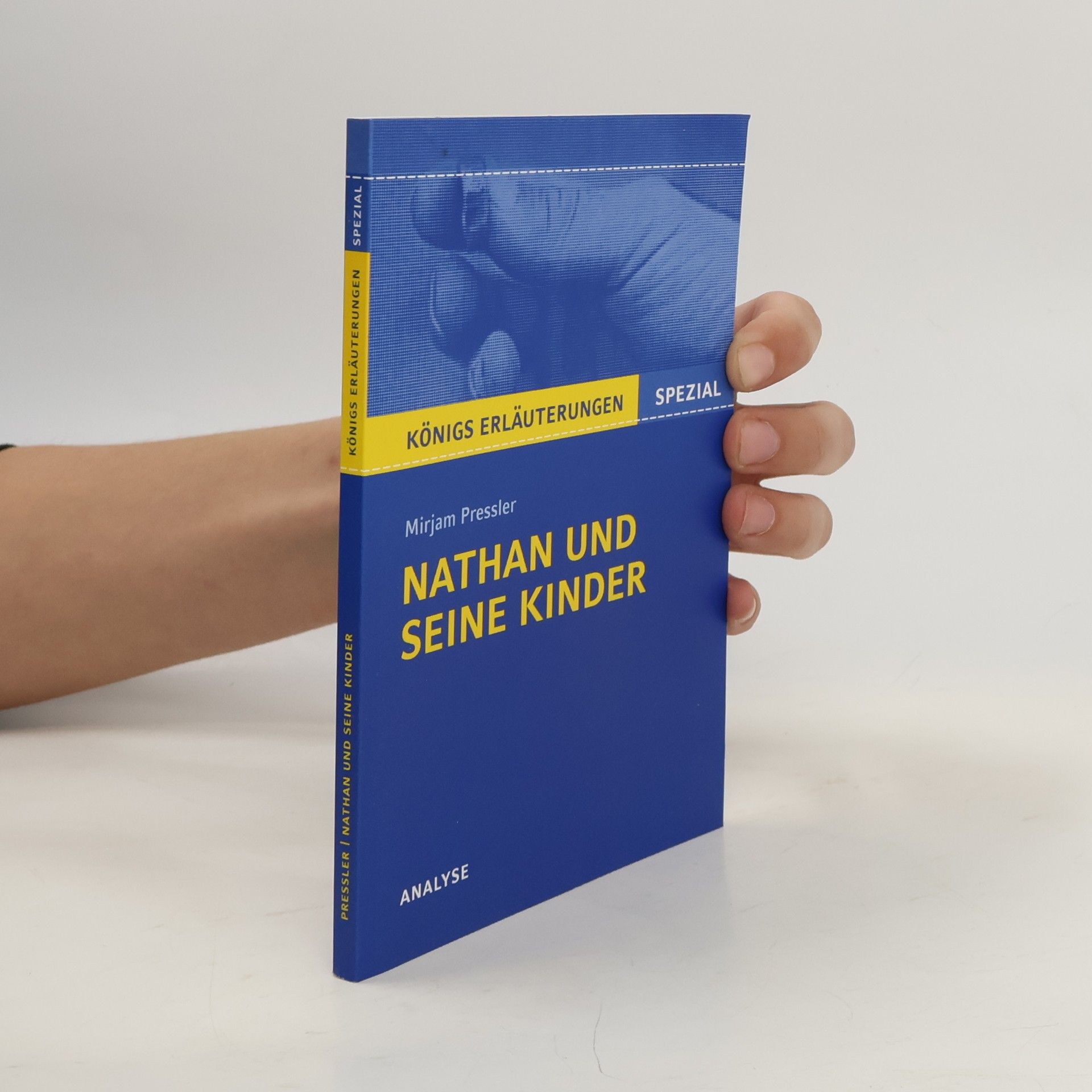 Thomas Möbius Mirjam Pressler: Nathan und seine Kinder