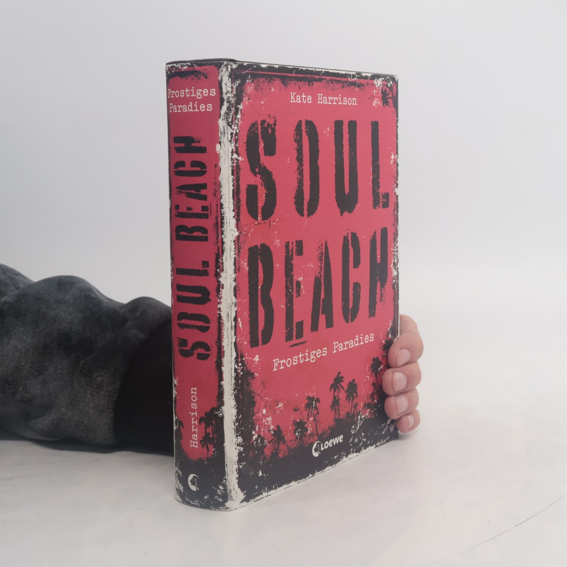 Kate Harrison Soul Beach. Frostiges Paradies