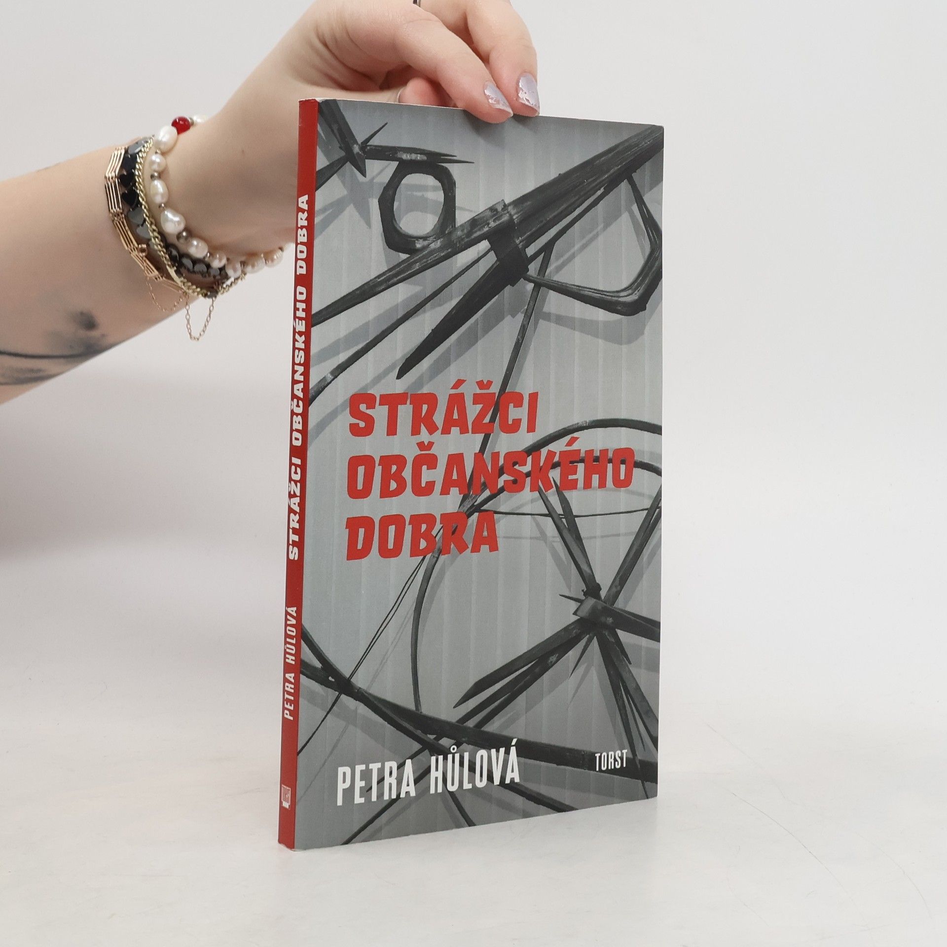 Petra Hůlová Strážci občanského dobra