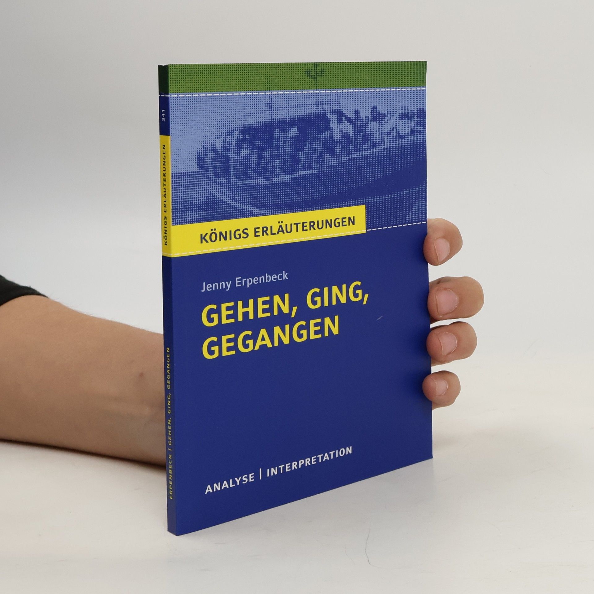 Textanalyse und Interpretation zu Jenny Erpenbeck, Gehen, ging, gegangen