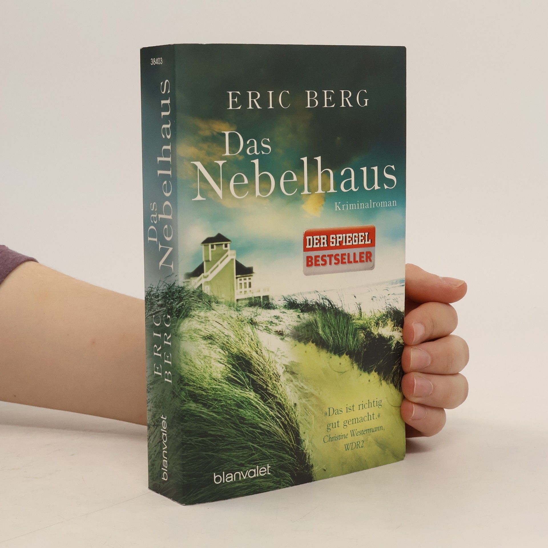 Eric Berg Das Nebelhaus