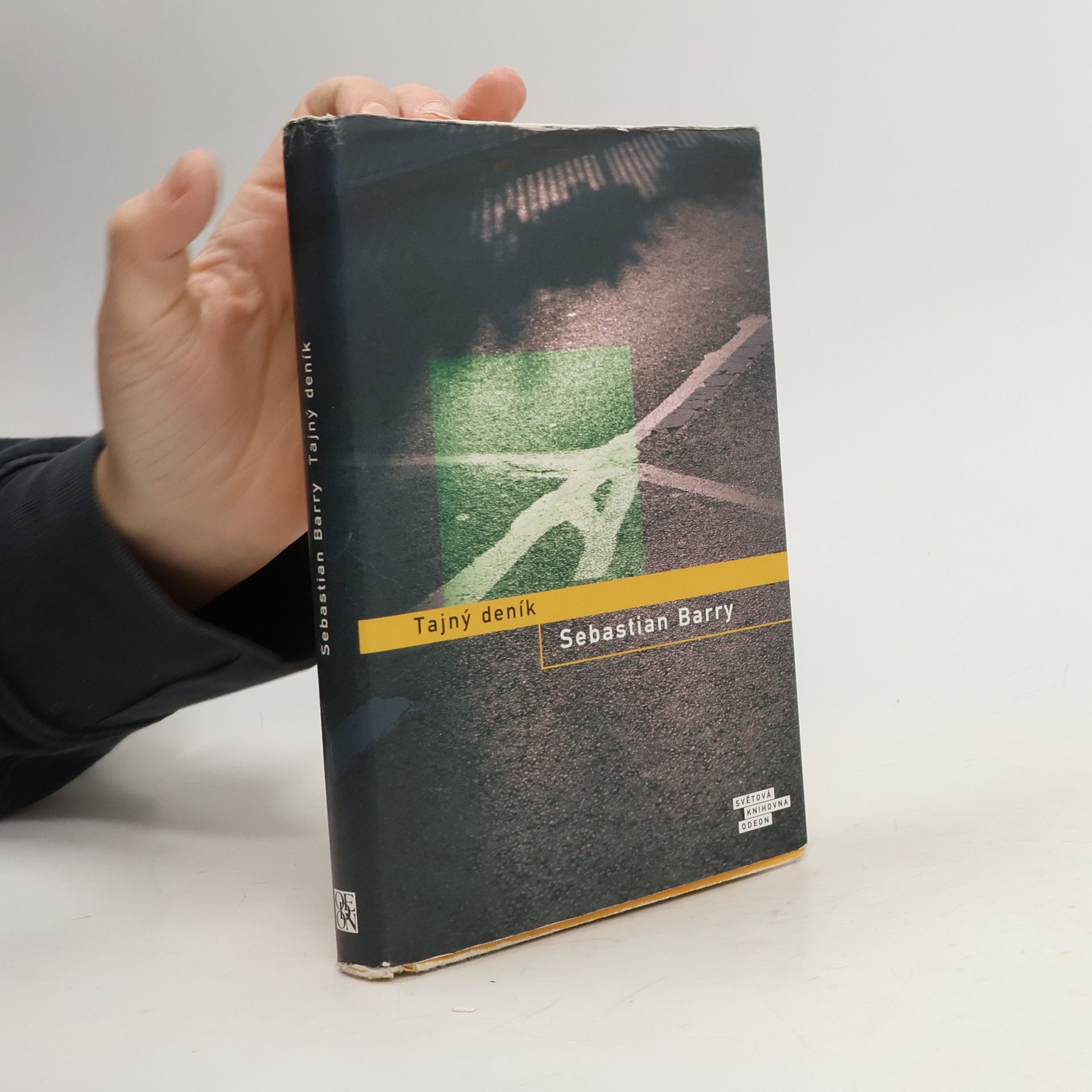 Sebastian Barry Tajný deník