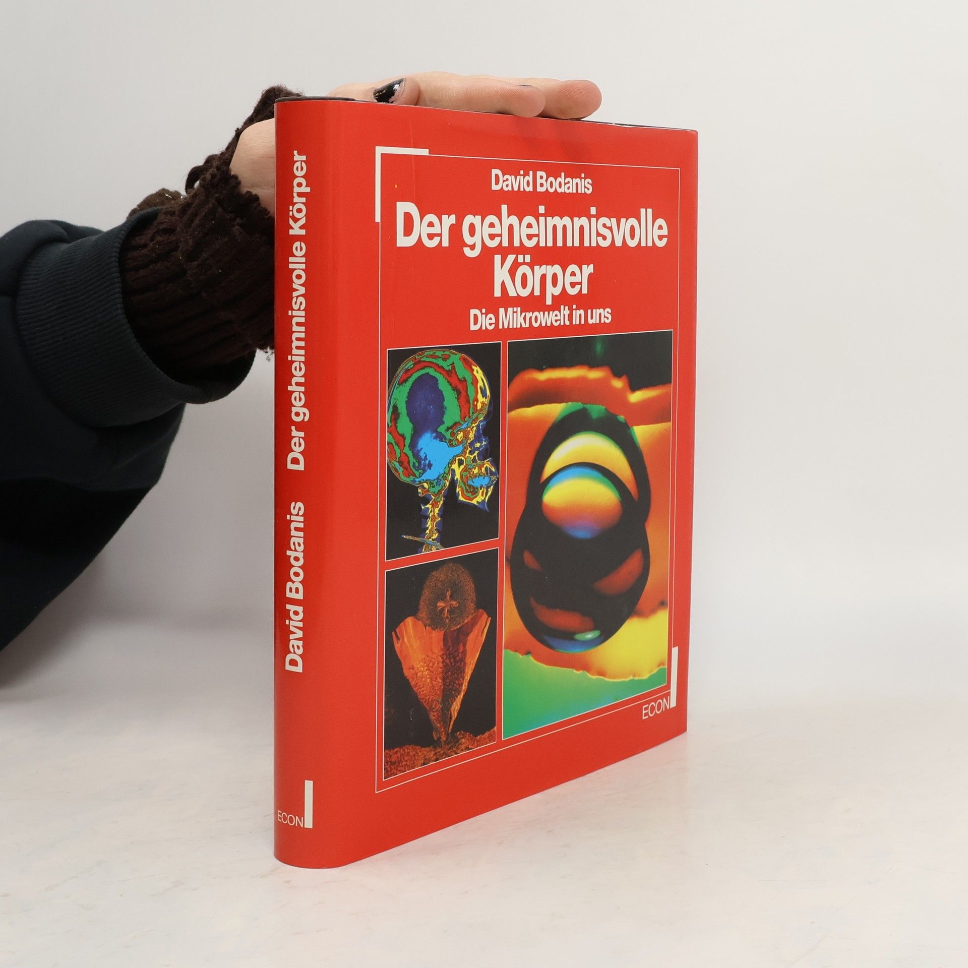 Der geheimnisvolle Körper