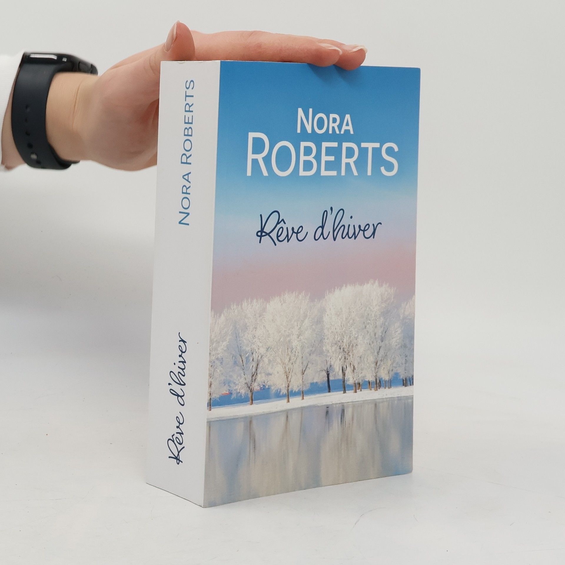 Nora Roberts Rêve d'hiver