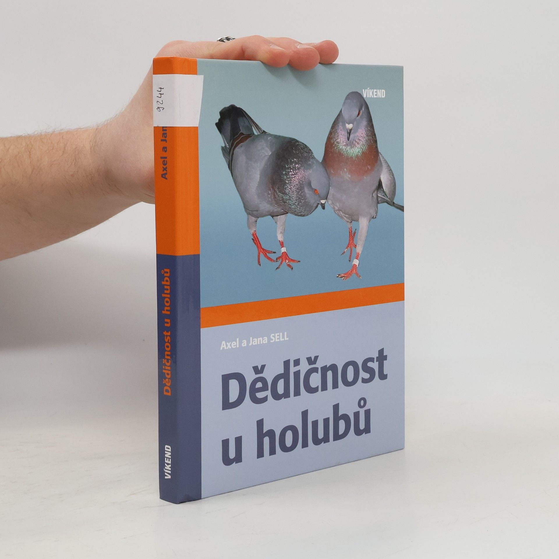 Dědičnost u holubů
