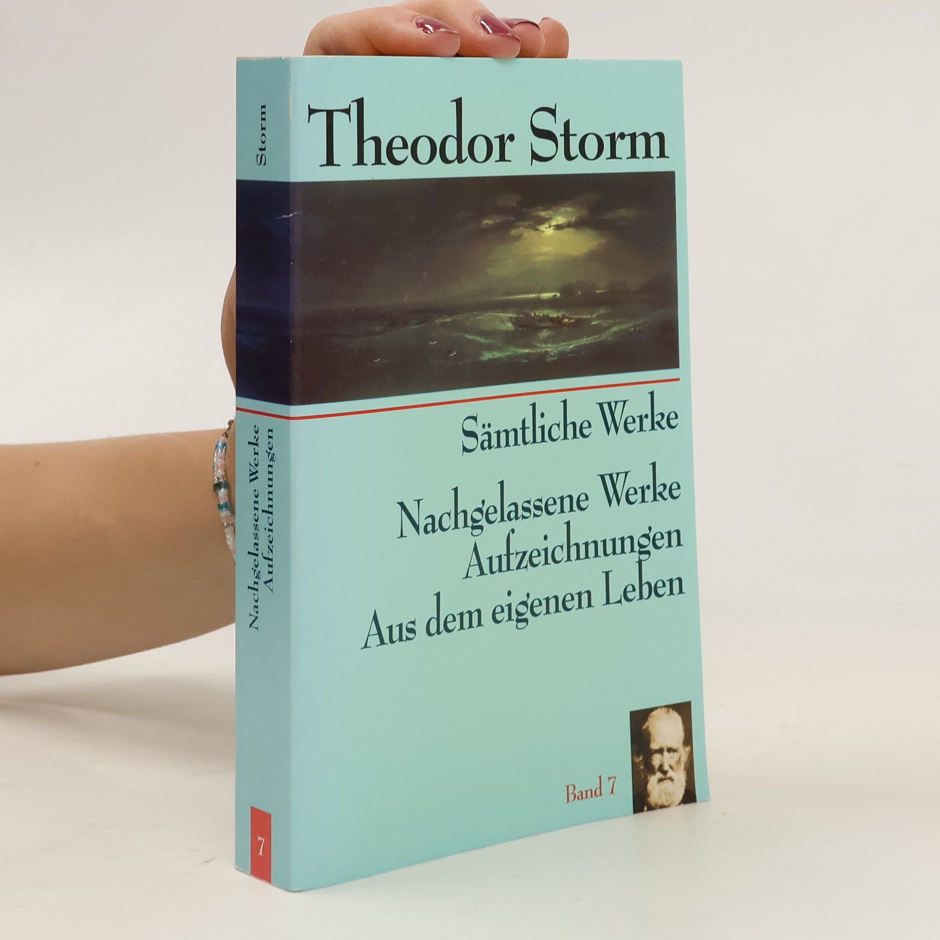 Theodor Storm Sämtliche Werke. Band 7