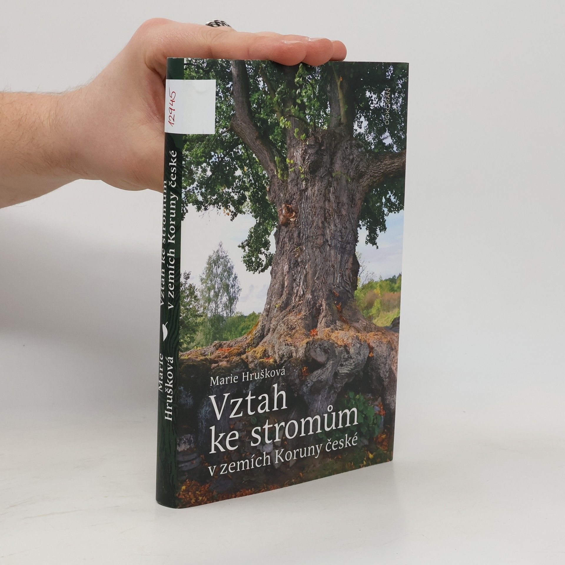 Vztah ke stromům v zemích Koruny české