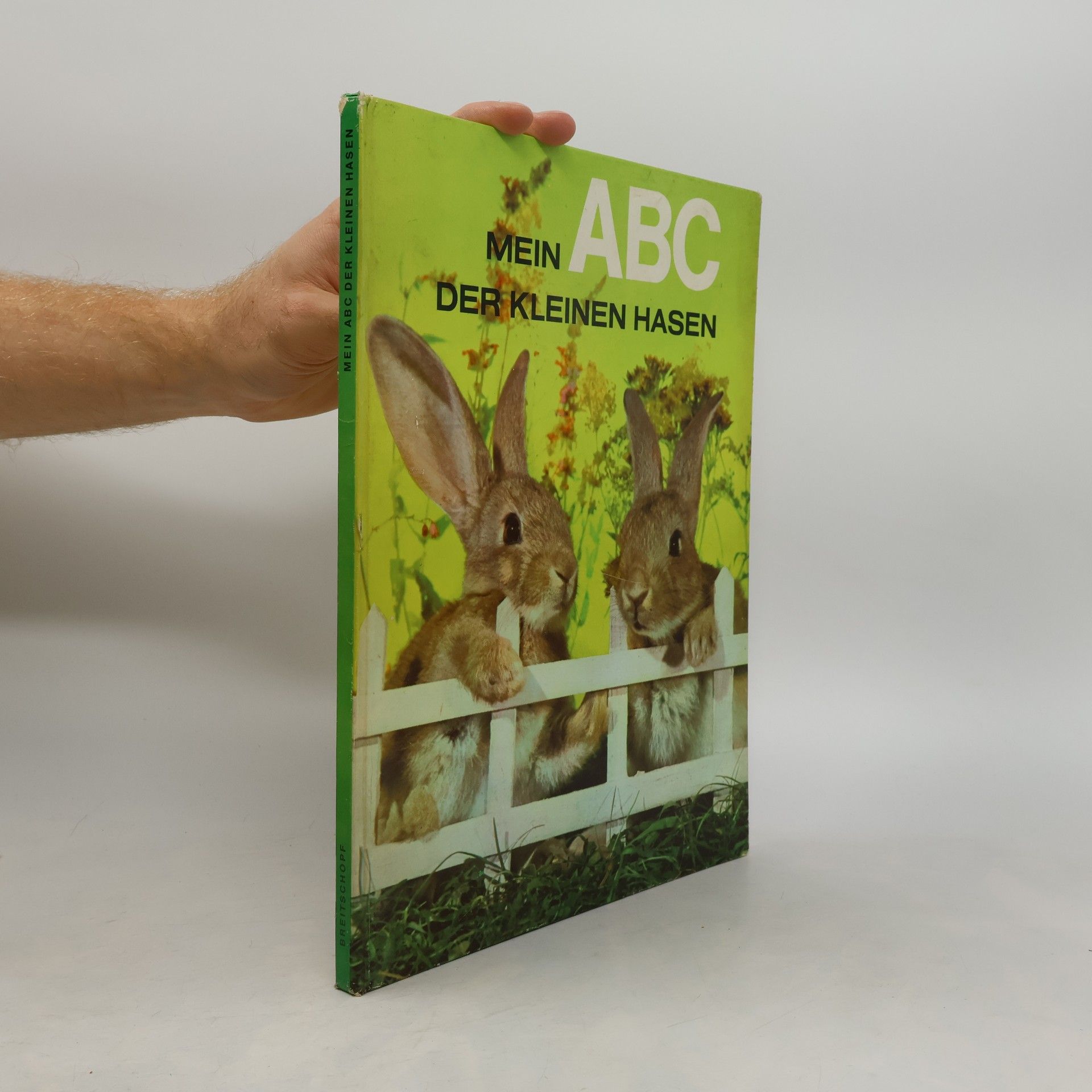 Autorenkollektiv Mein ABC der Kleinen Hasen