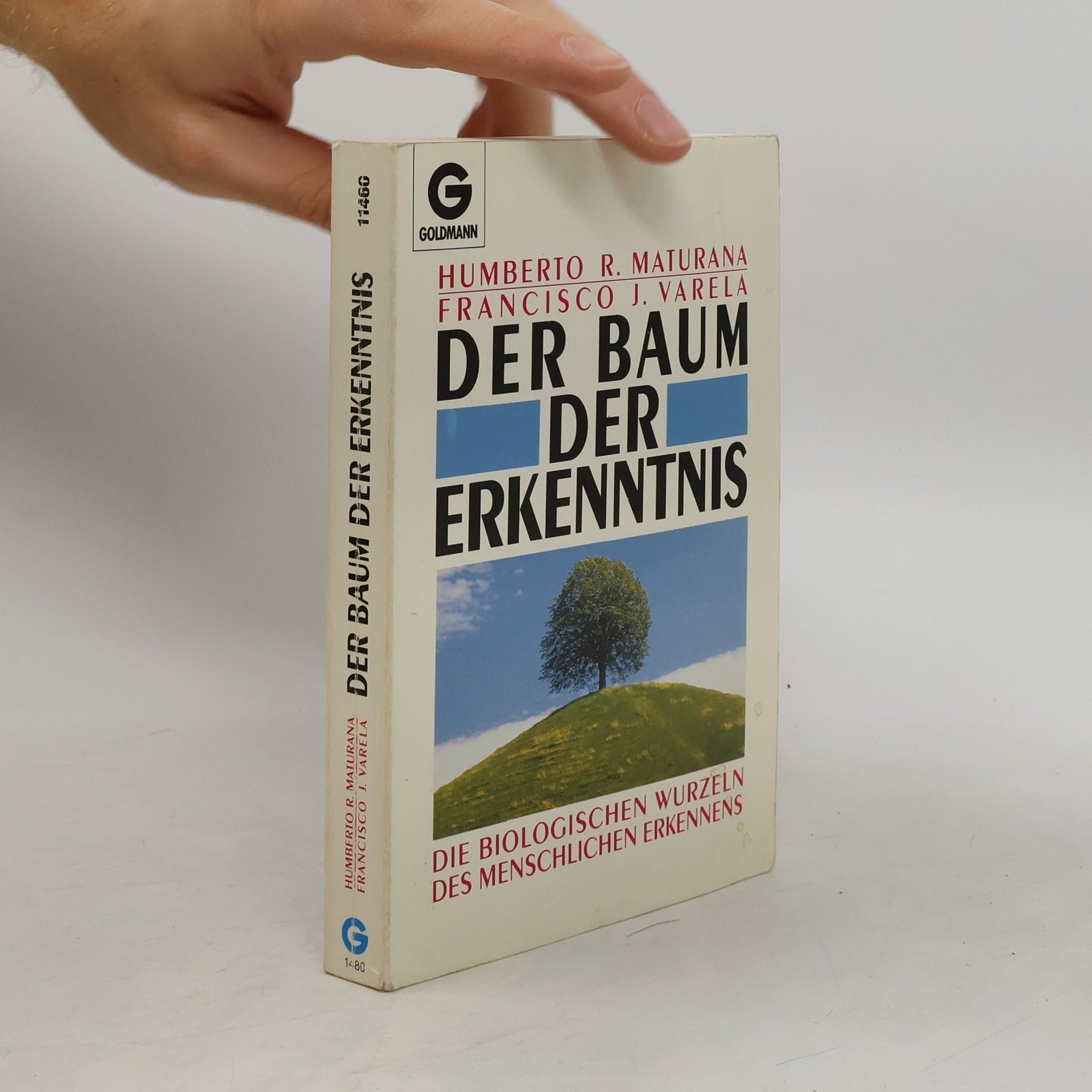 Der Baum der Erkenntnis