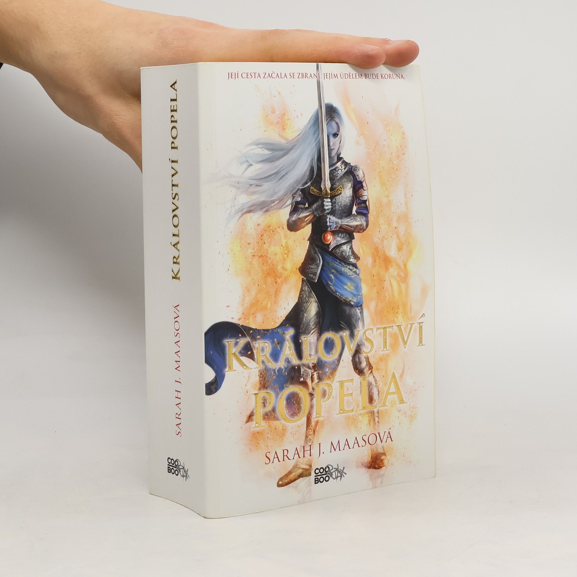 Sarah J. Maas Království popela