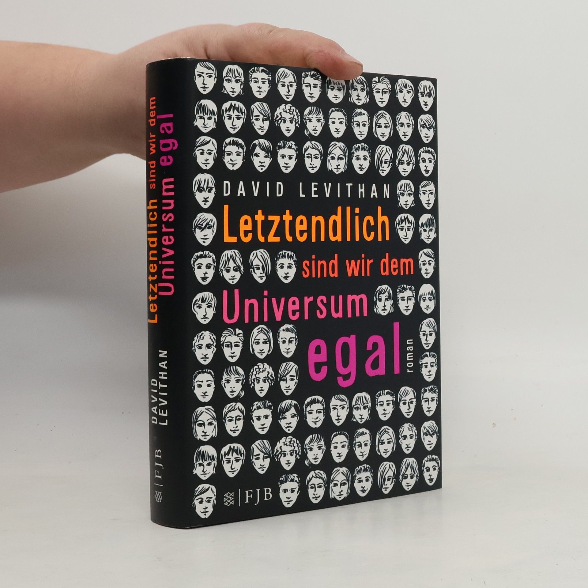 David Levithan Letztendlich sind wir dem Universum egal