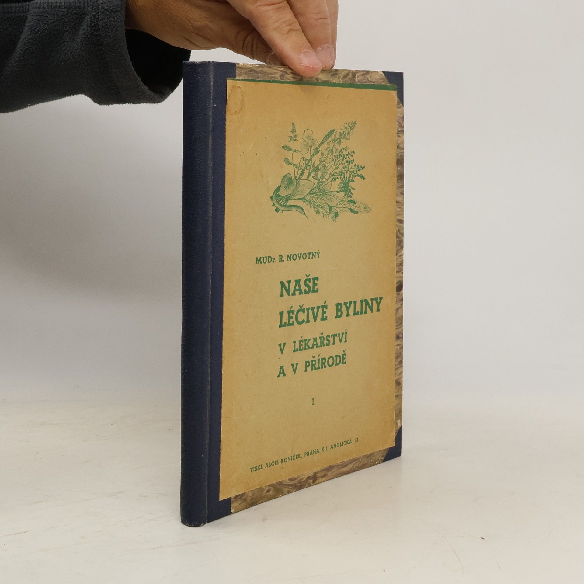 Novotný R. Naše léčivé byliny v lékařství a v přírodě I.