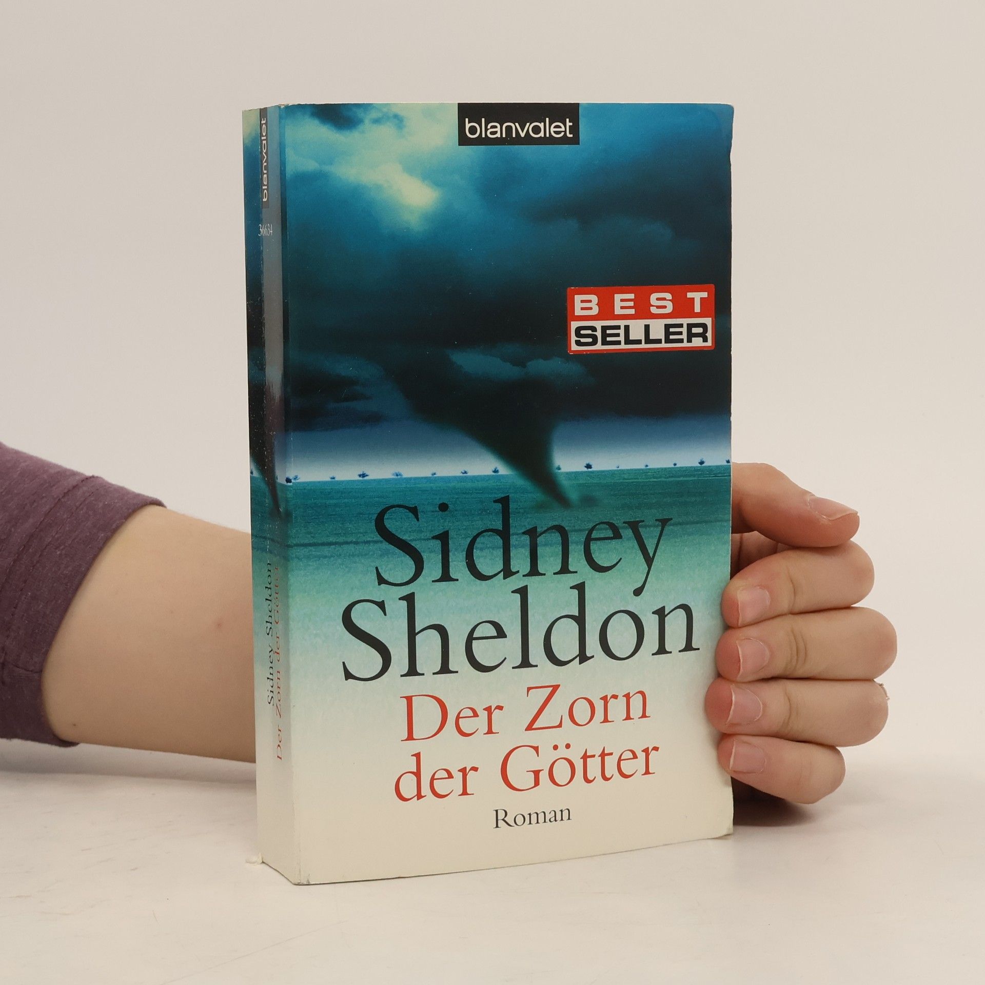 Sidney Sheldon Der Zorn der Götter