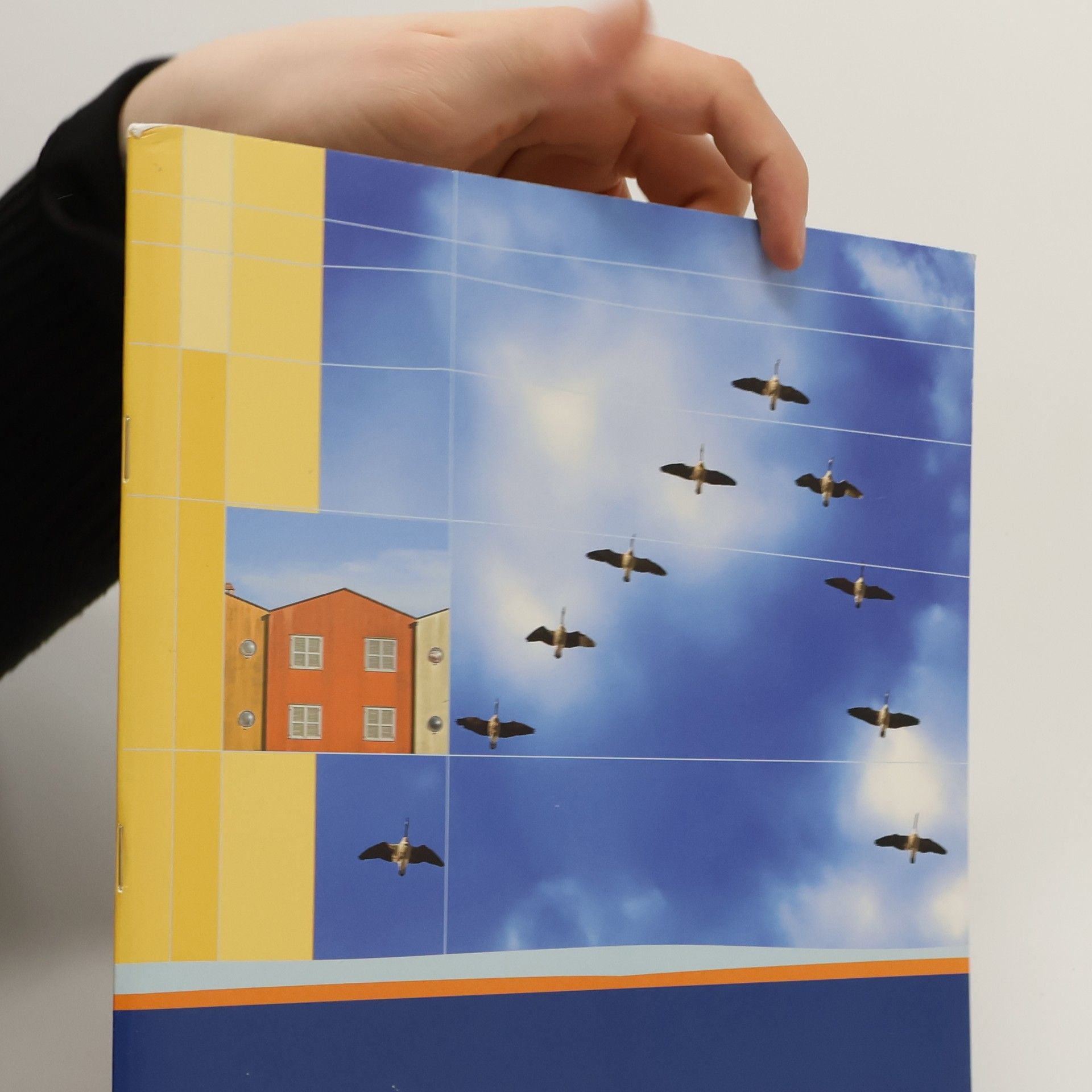 Collectif d'auteurs Basistraining Analytische Geometrie / Stochastik