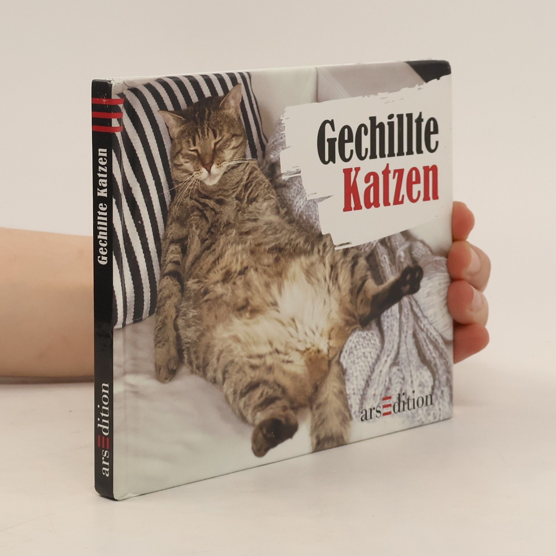 Paulus Vennebusch Gechillte Katzen