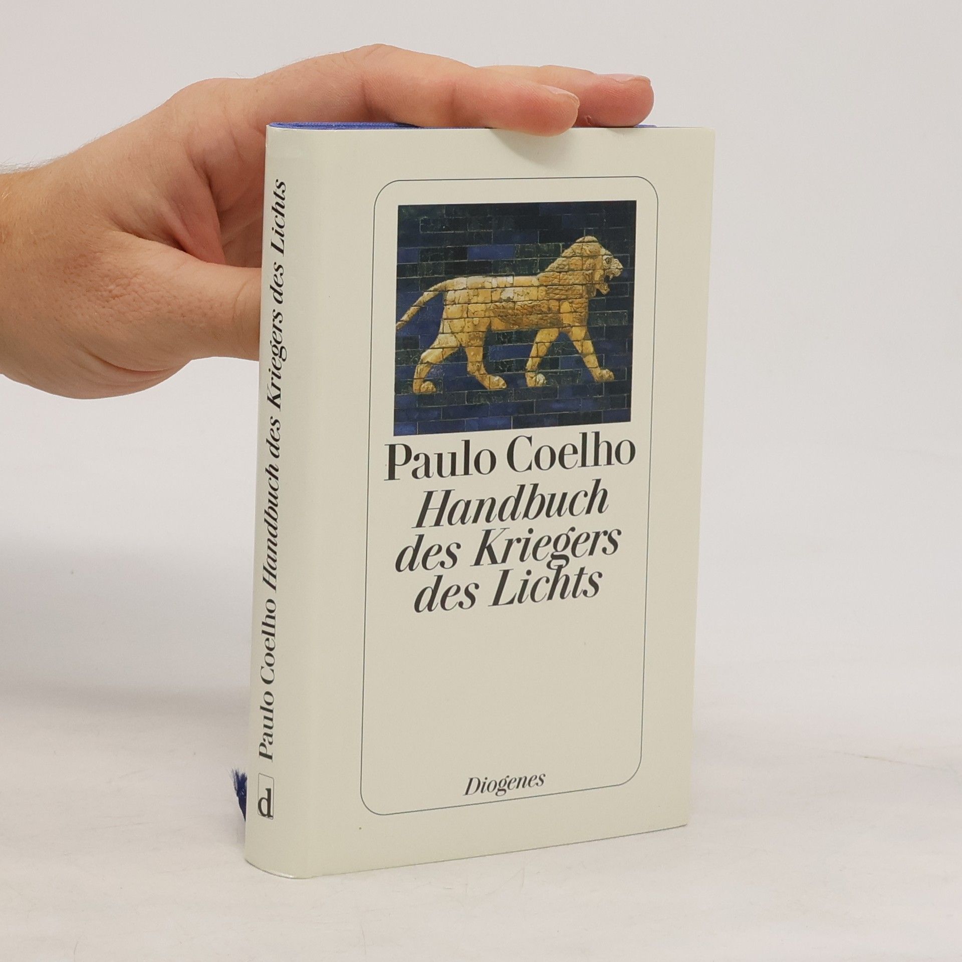 Paulo Coelho Handbuch des Kriegers des Lichts