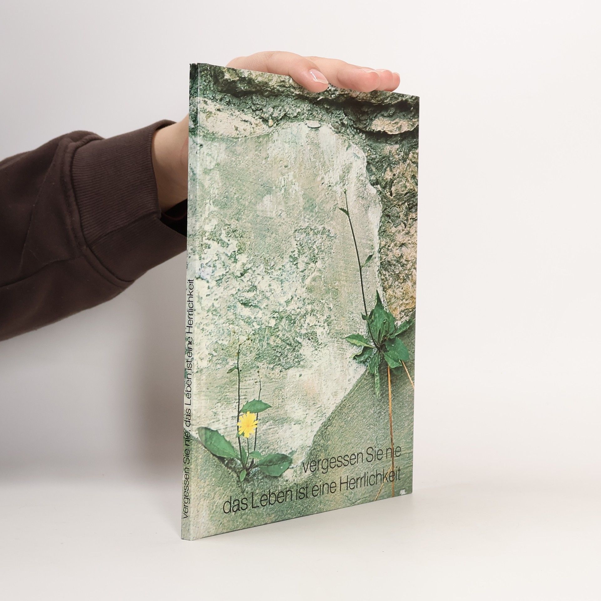 Vergessen Sie nie, das Leben ist eine Herrlichkeit