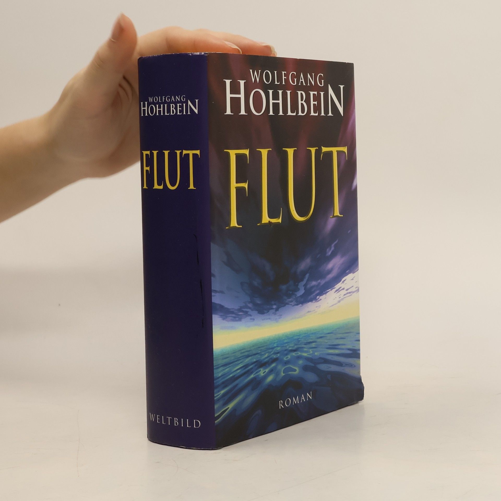 Wolfgang Hohlbein Flut