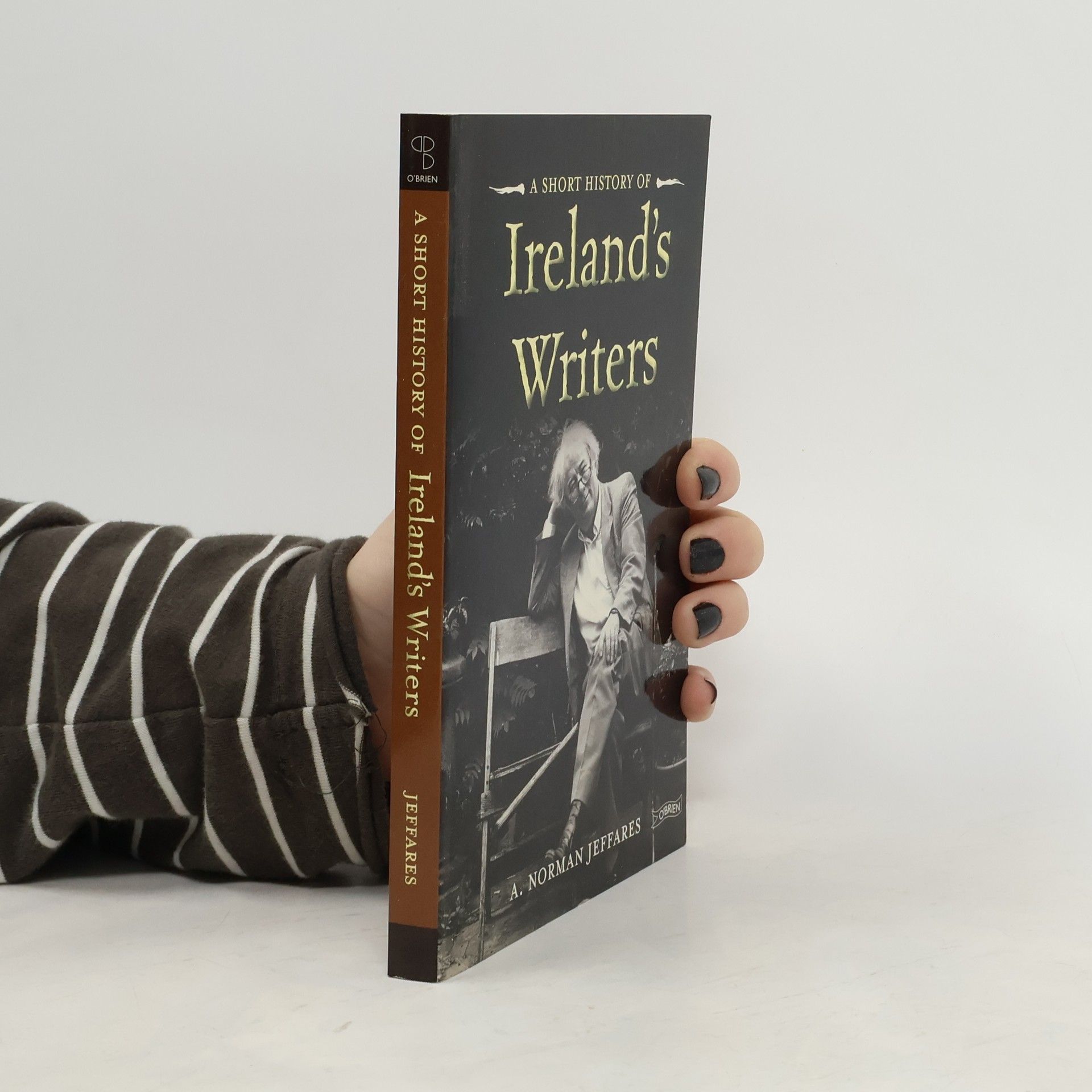 A Short History of Ireland's Writers