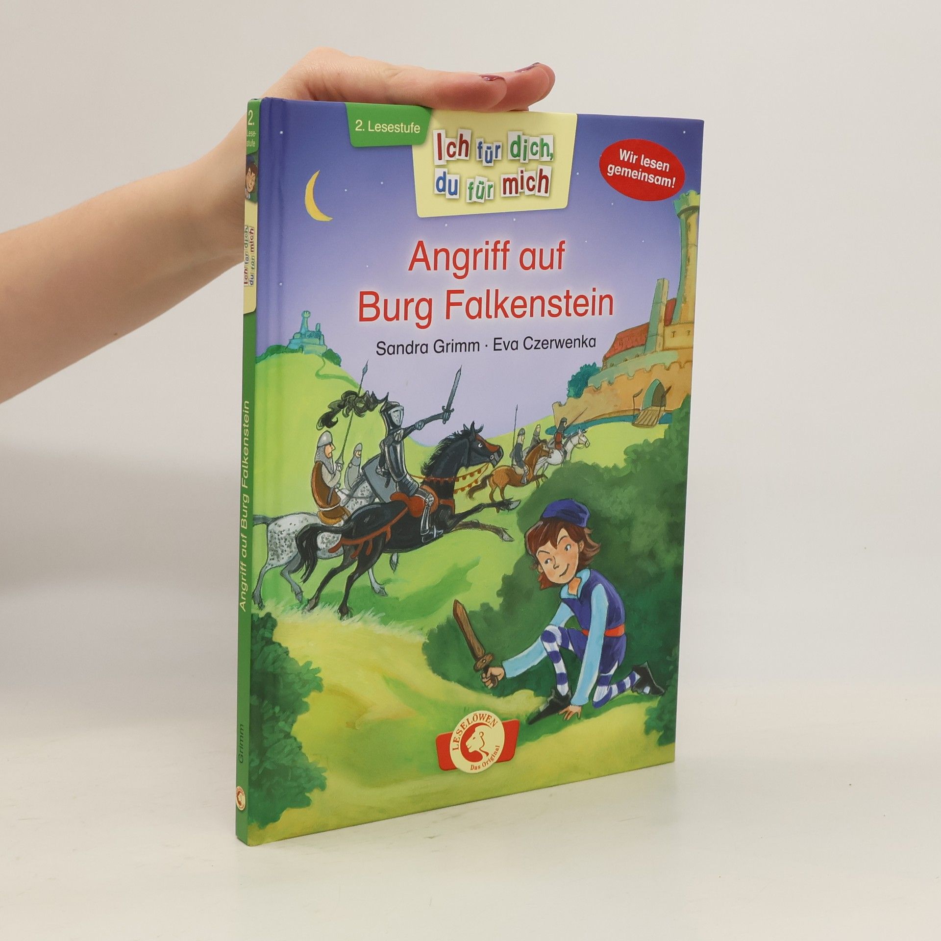 Sandra Grimm Angriff auf Burg Falkenstein