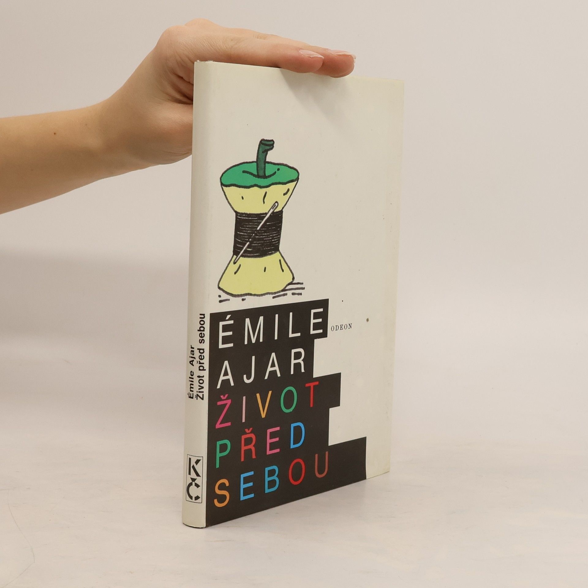 Romain Gary Život před sebou