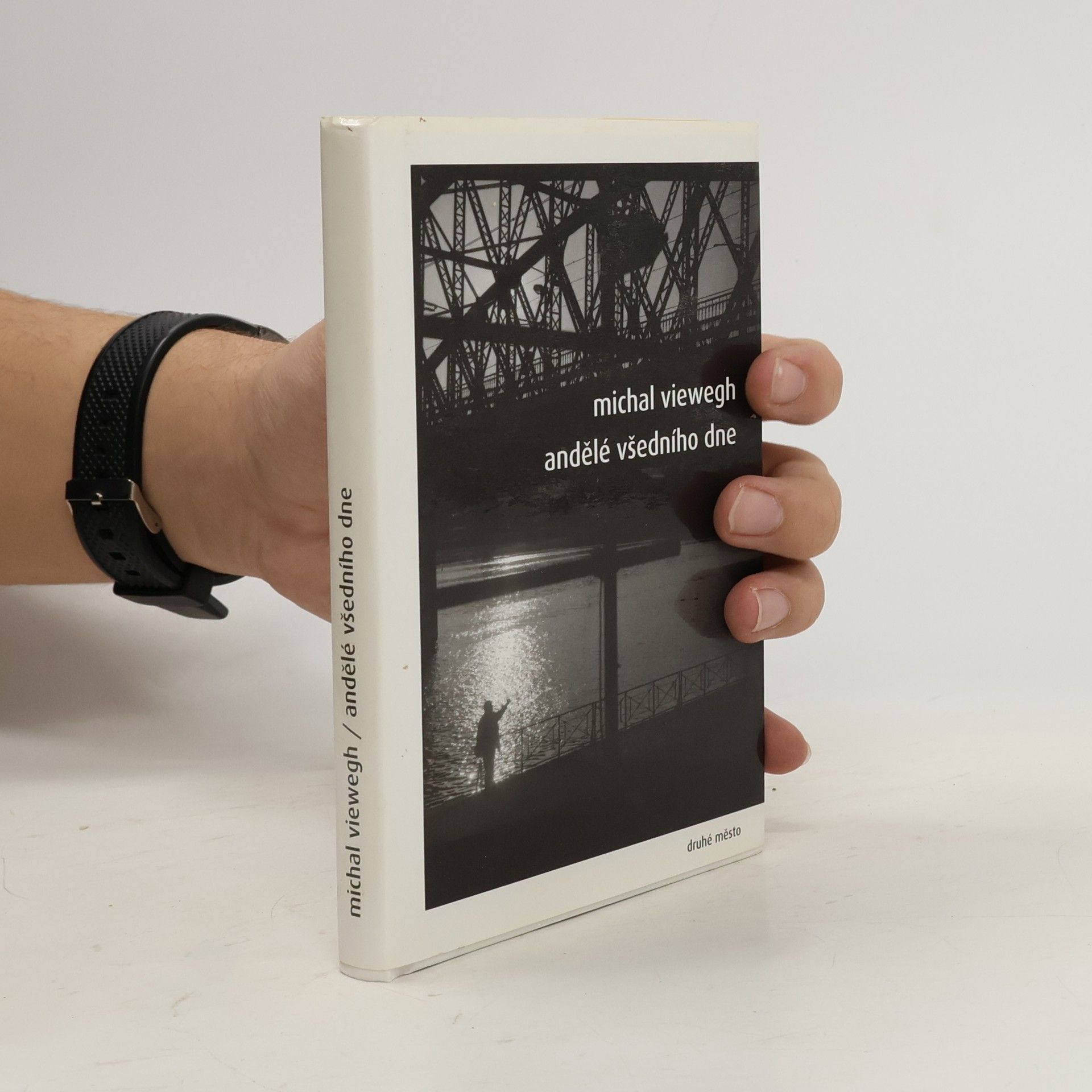 Michal Viewegh Andělé všedního dne