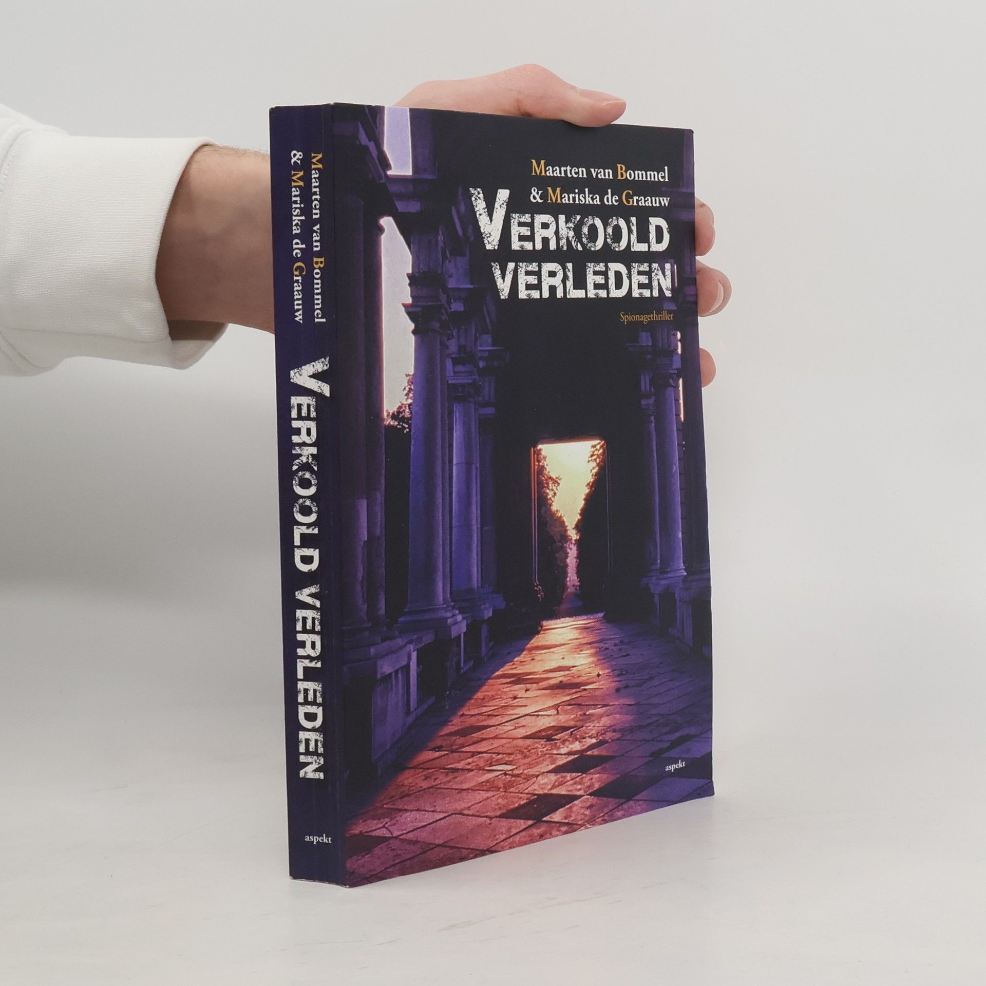 Maarten van Bommel Verkoold verleden