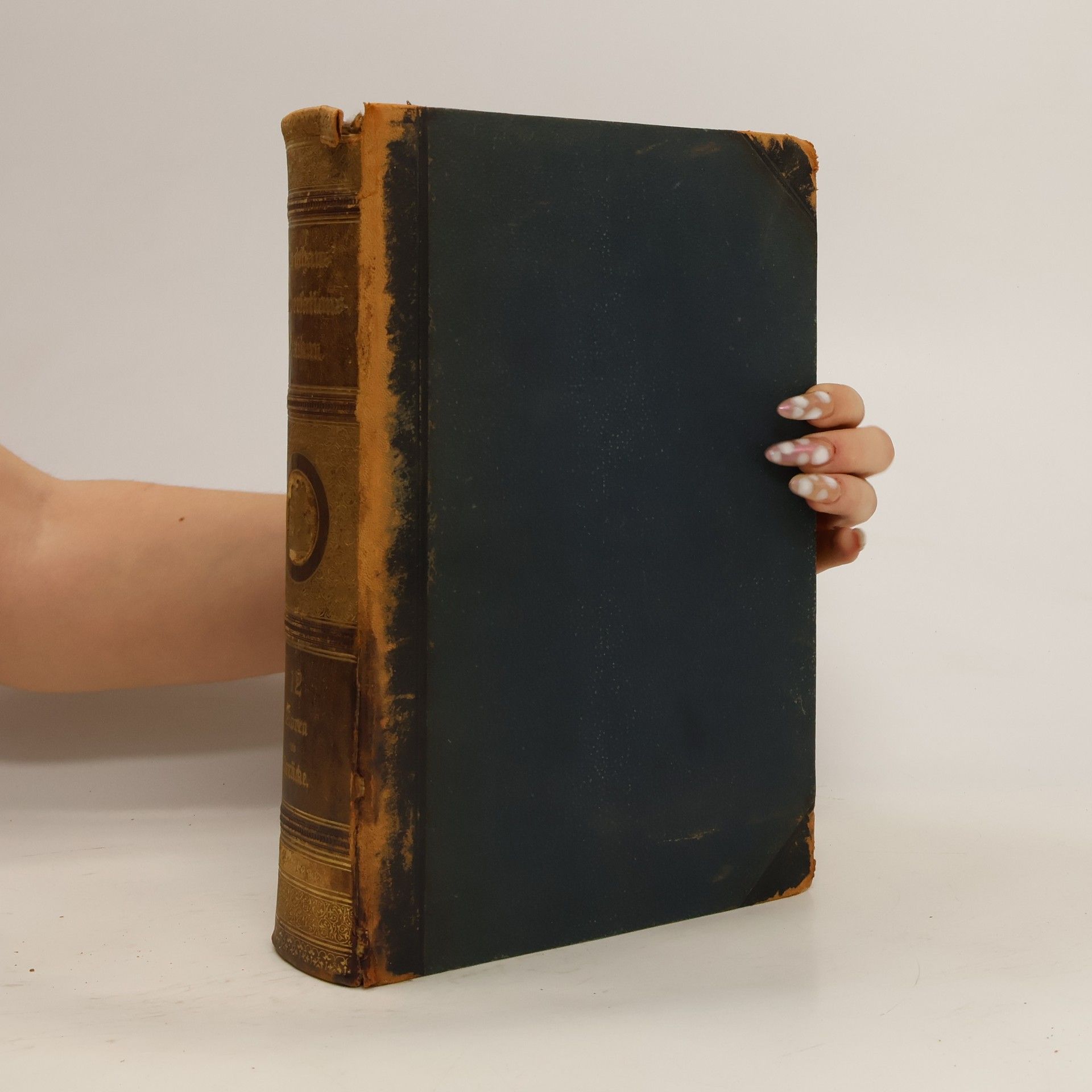 Kolektív autorov Brockhaus' Konversations-Lexikon. Band 12