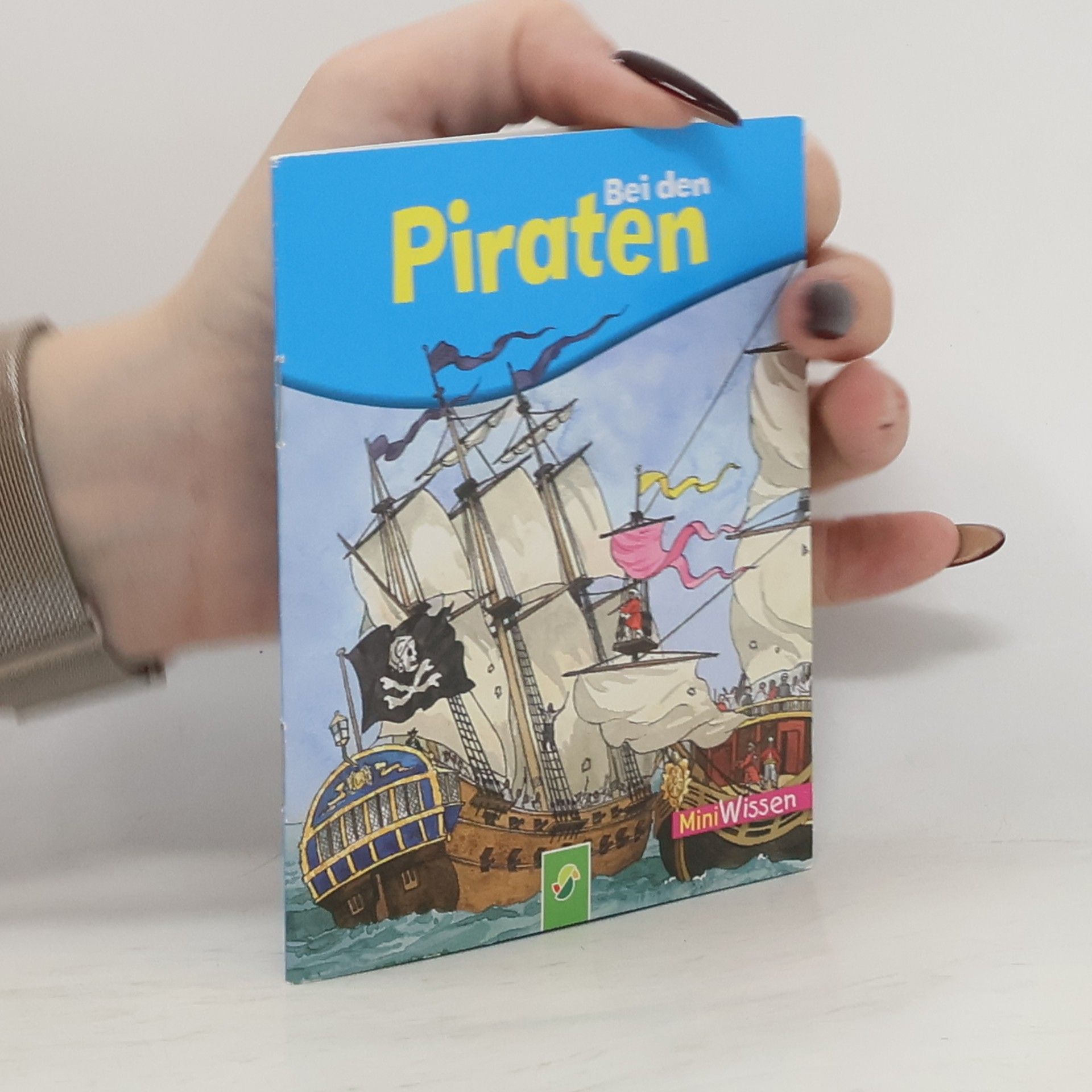 Autorenkollektiv Bei den Piraten