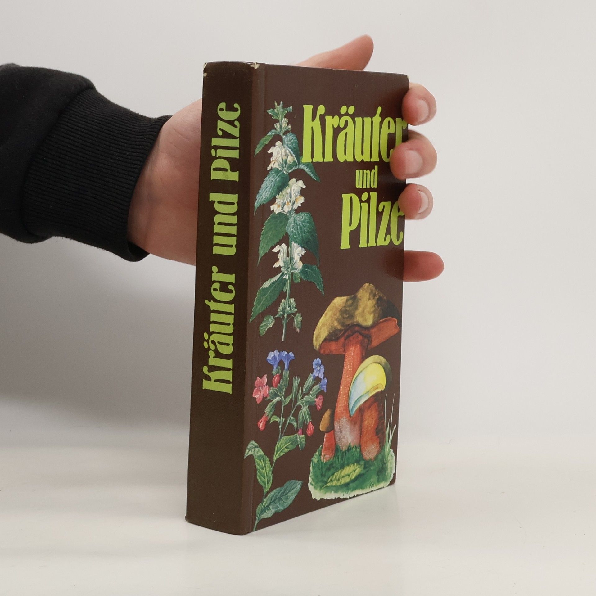 Auteurscollectief Kräuter und Pilze