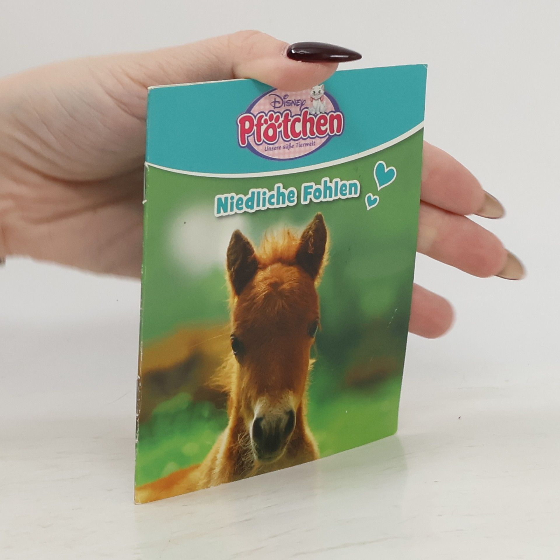 Collectif d'auteurs Niedliche Fohlen